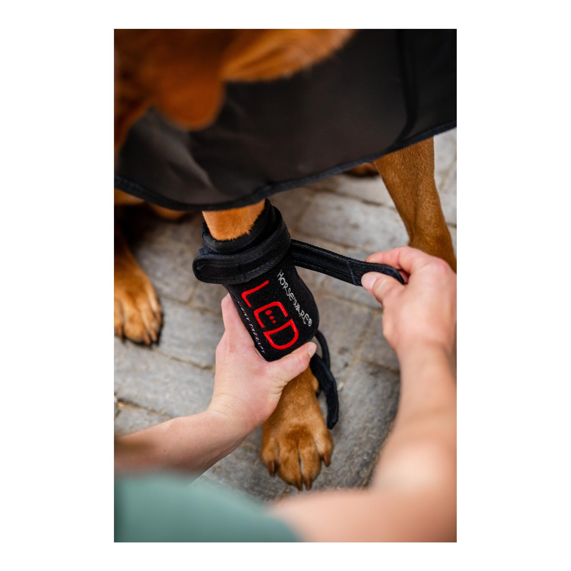 LED Red Light Therapy Pet Leg Wraps Pair
