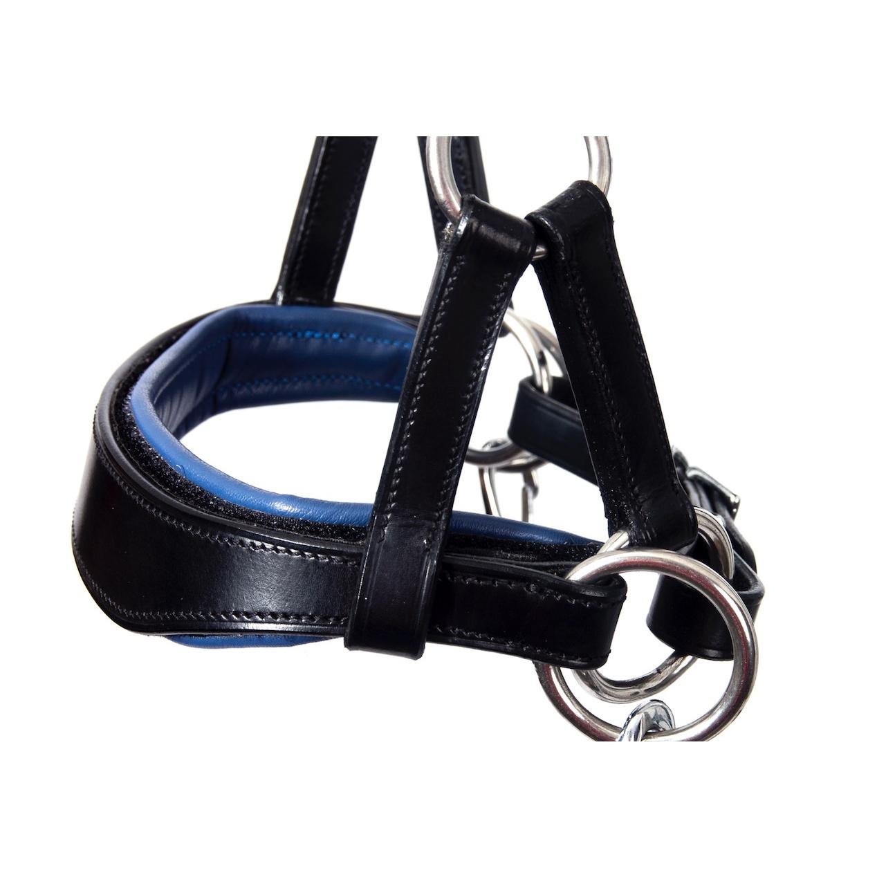 Bride sans mors Aruba avec coussinets colorés flexibles - noir