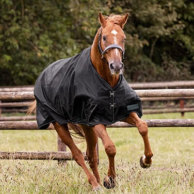 reitsport-Pferdedecken