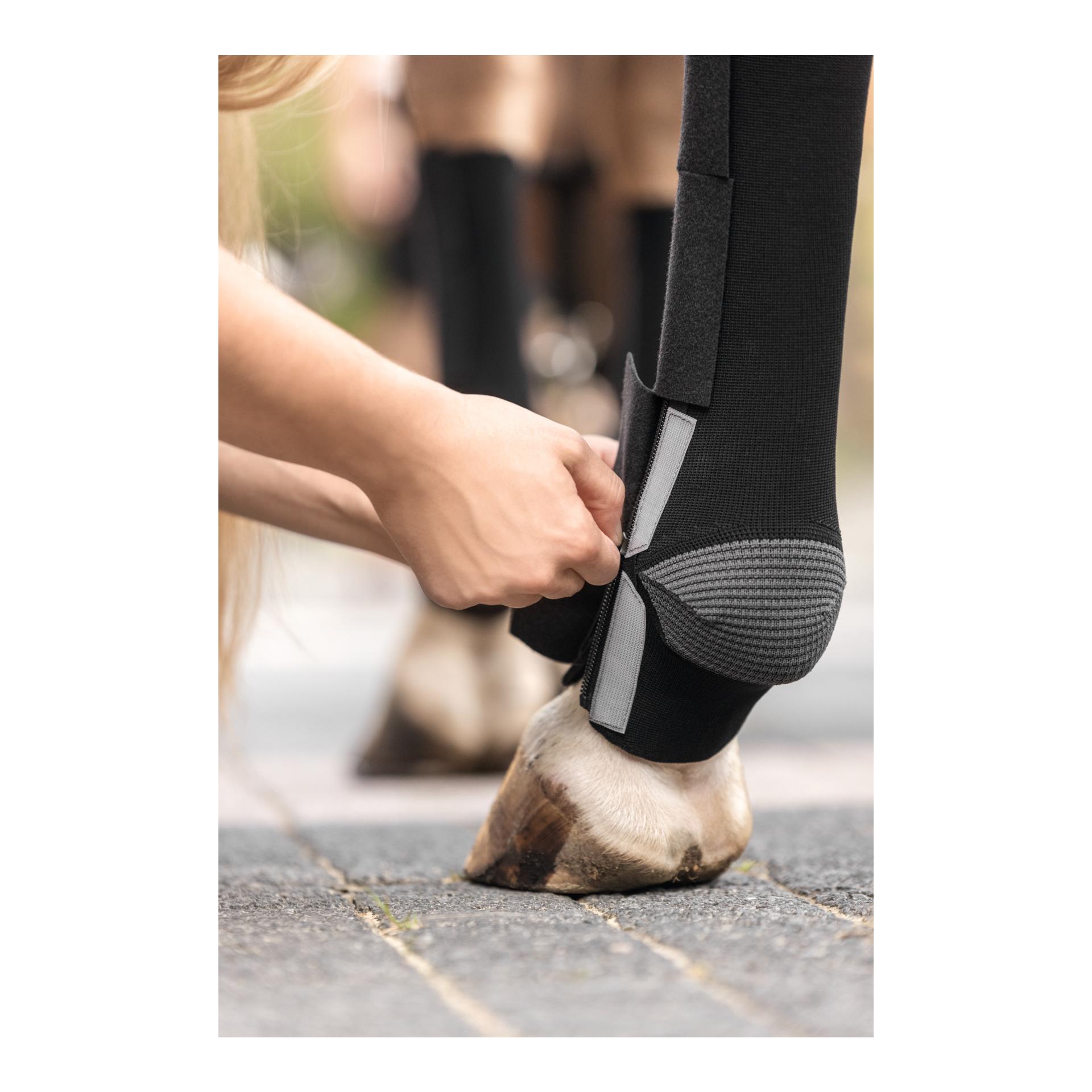 EquiCrown Kompressionsbandage active - hinten, Reissverschluss - grau