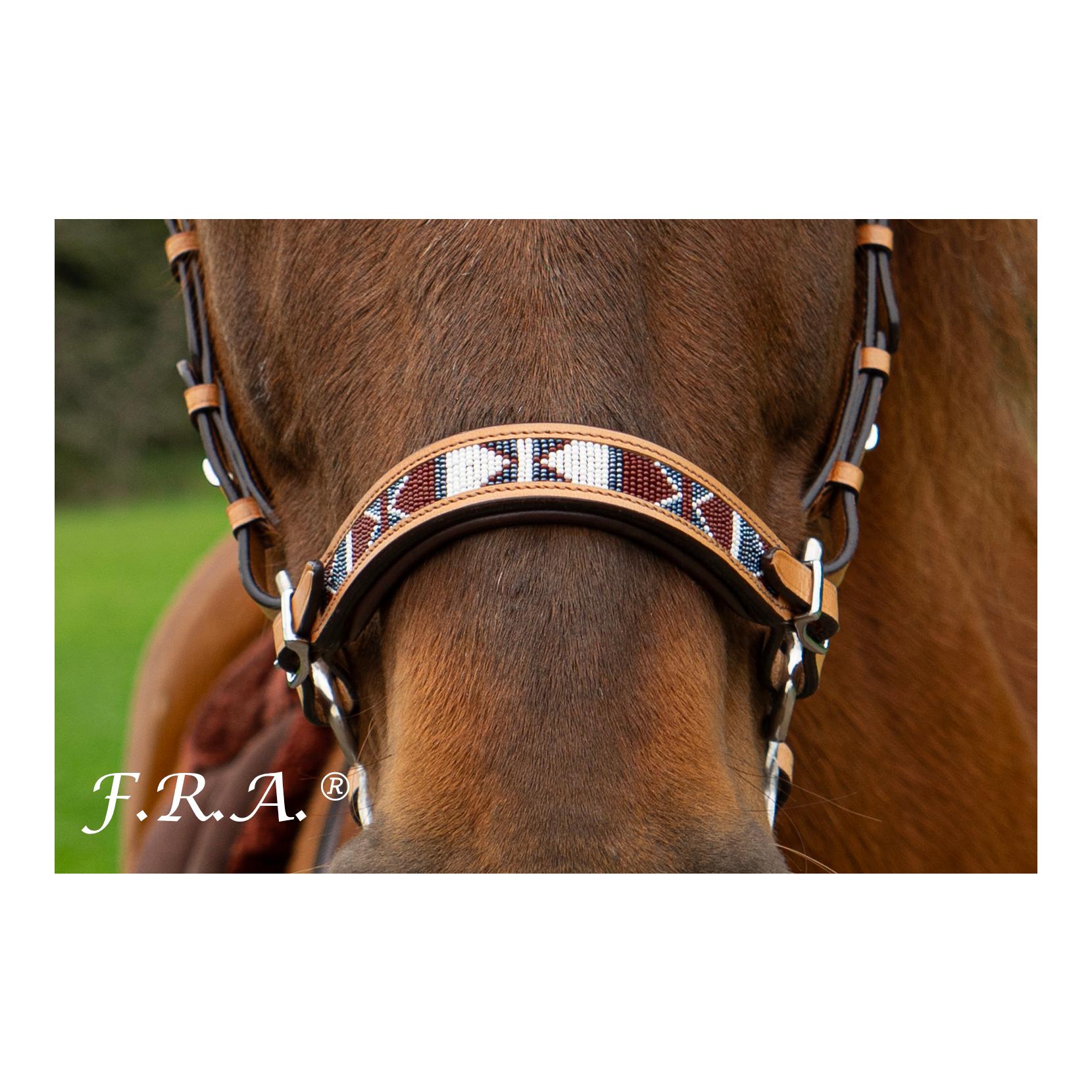 Western Hackamore esprit