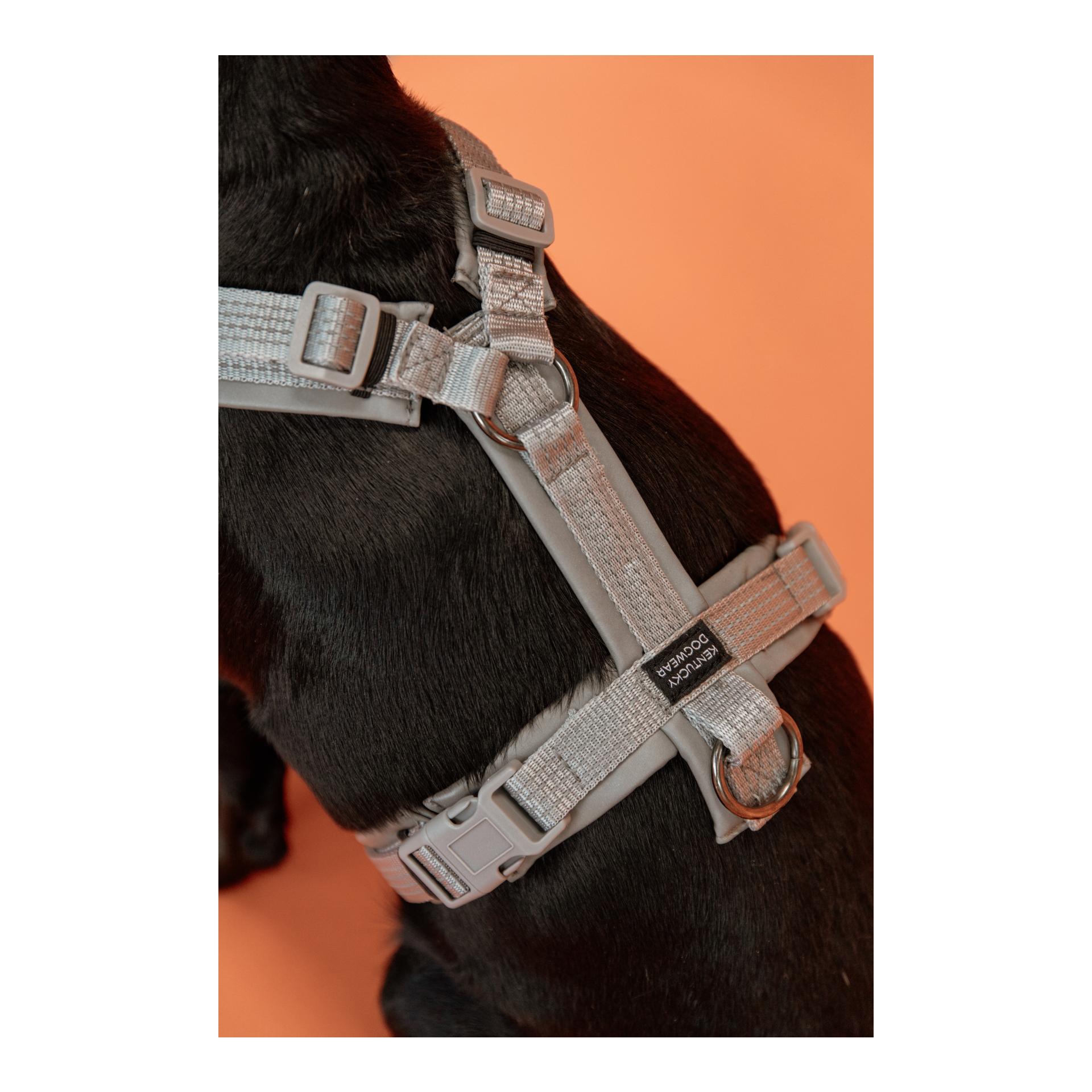 Hundegeschirr Aktiv reflektierend Hundegeschirr Aktiv reflektierend