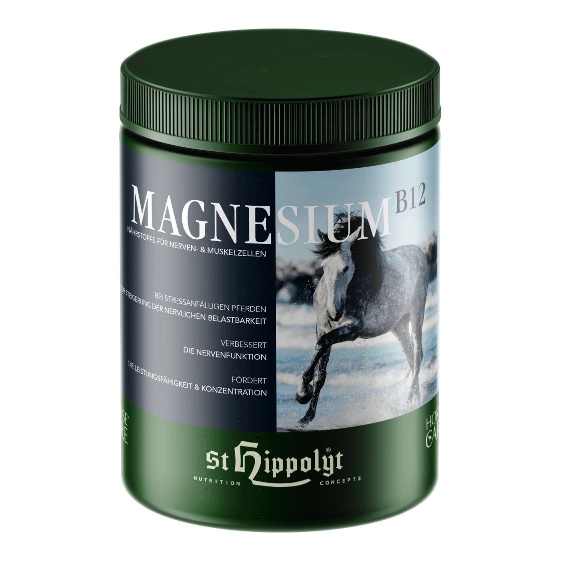 Magnesium B12 Magnesium B12