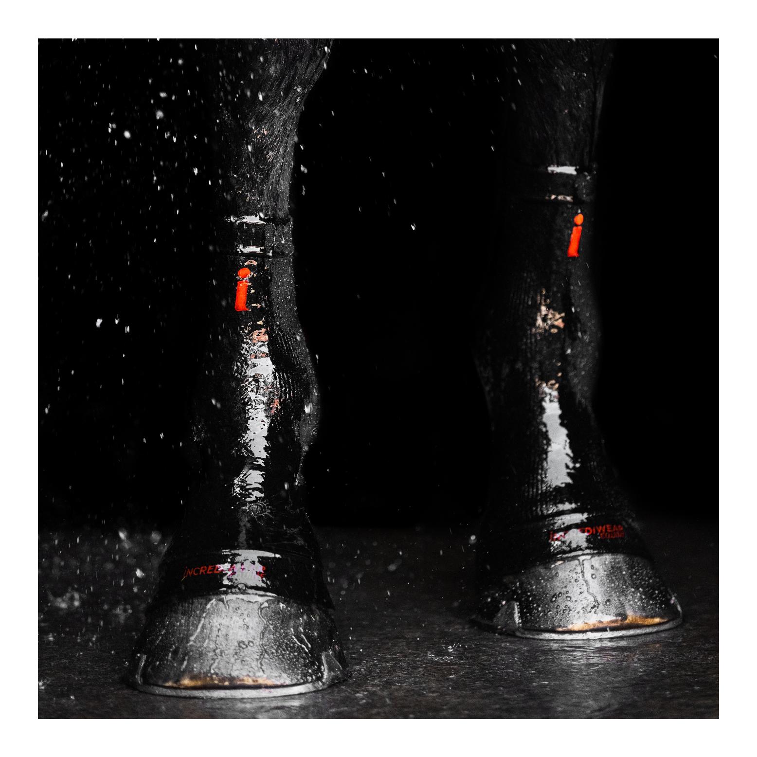 Incrediwear Equine Strümpfe Circulation kurz (Paar)