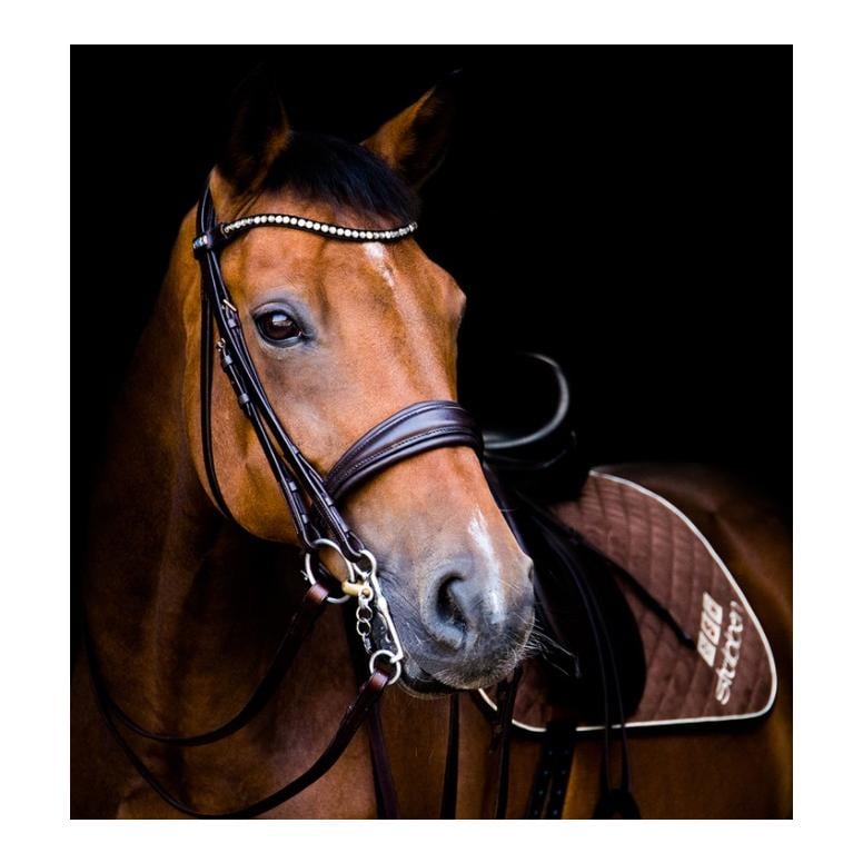 Bride Switch Magic Tack – noir ébène