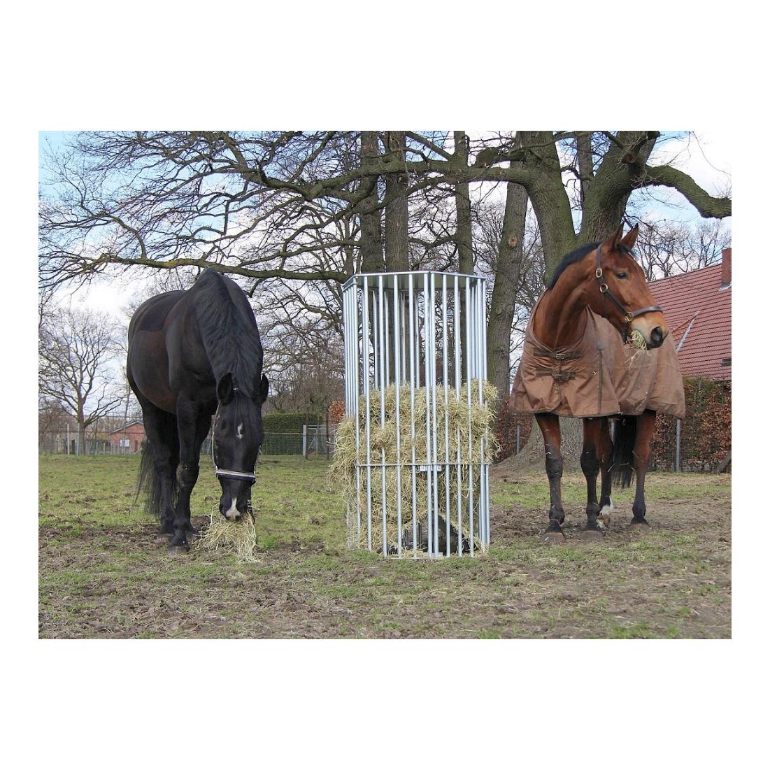 Growi Pferderaufe 6-eckig