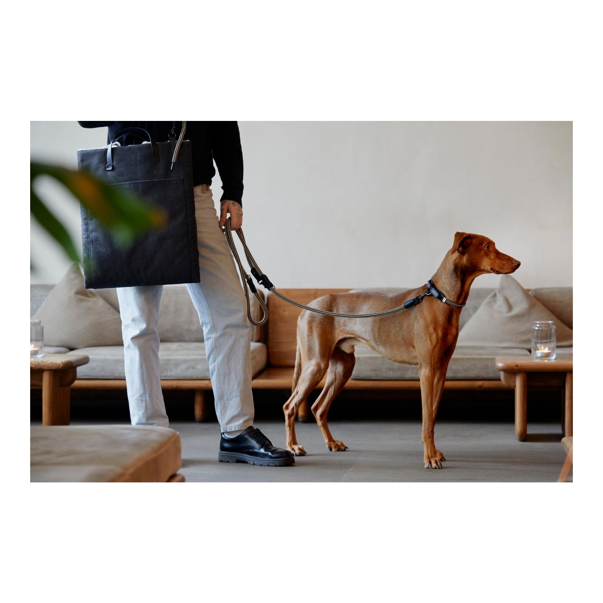 Hundereisebett Canvas