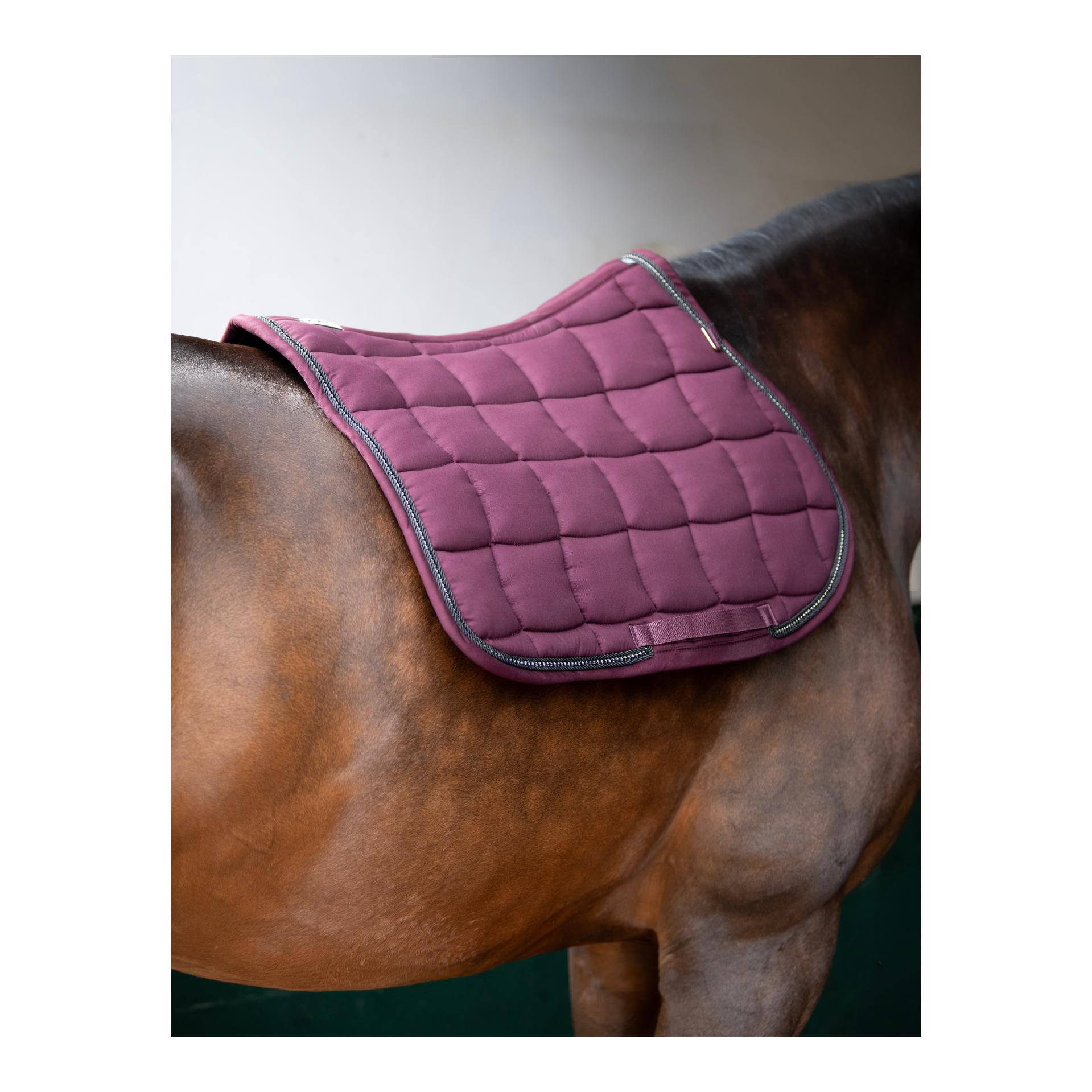 Schabracke Performance