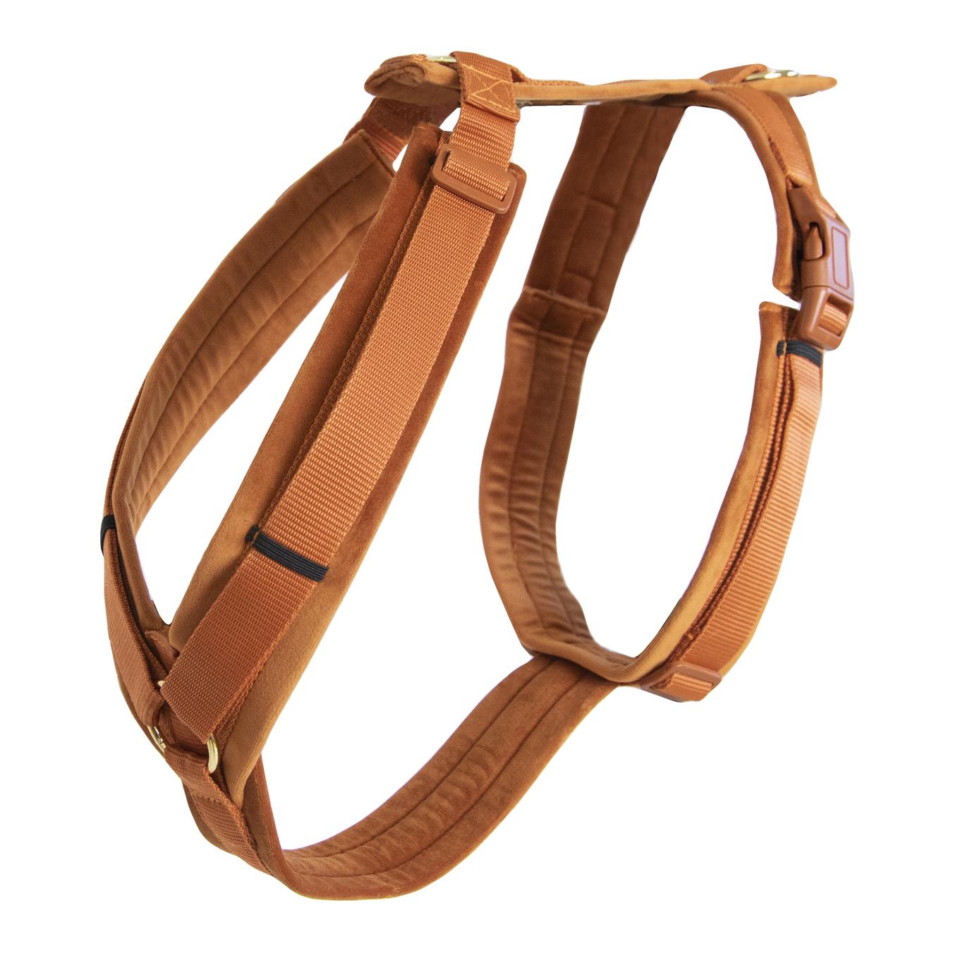Harnais pour chien Active Velvet