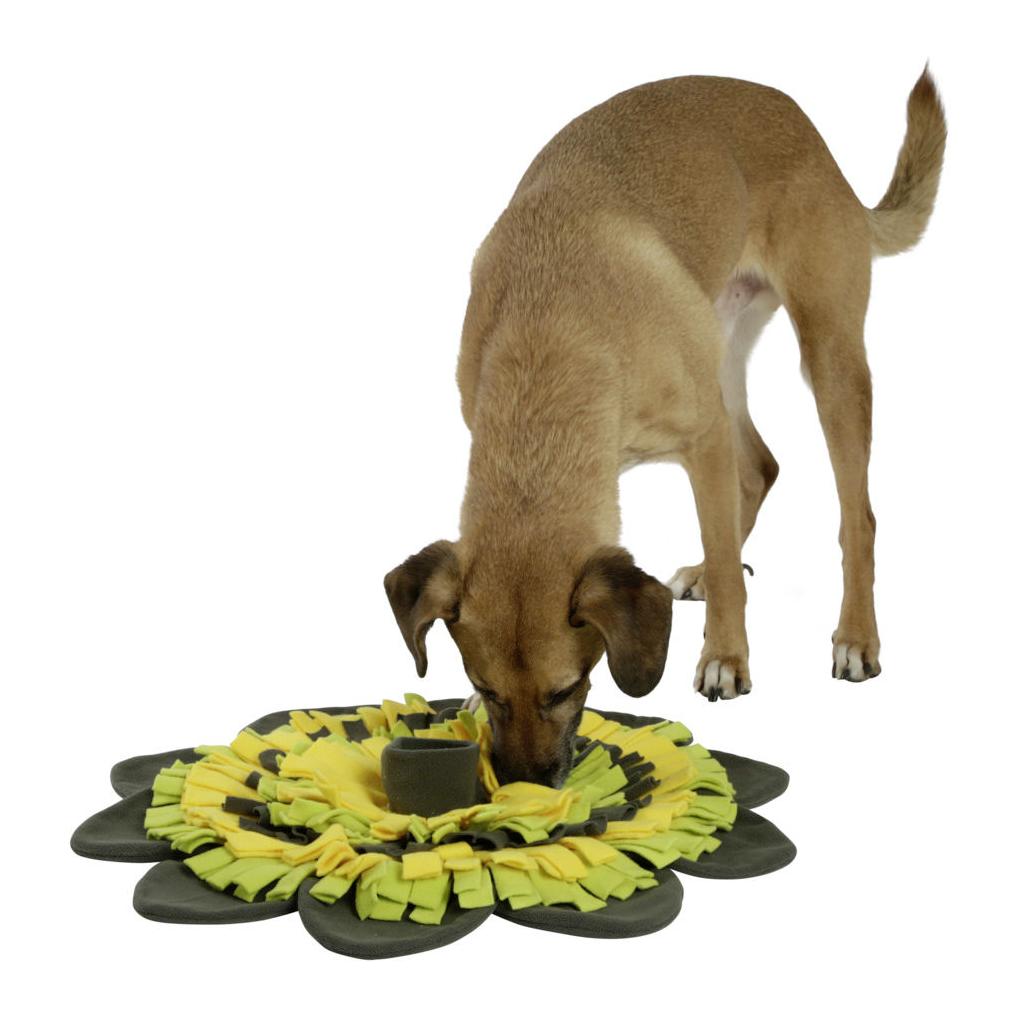 Kerbl Pet Schnüffelteppich Sunflower - gelb/grün