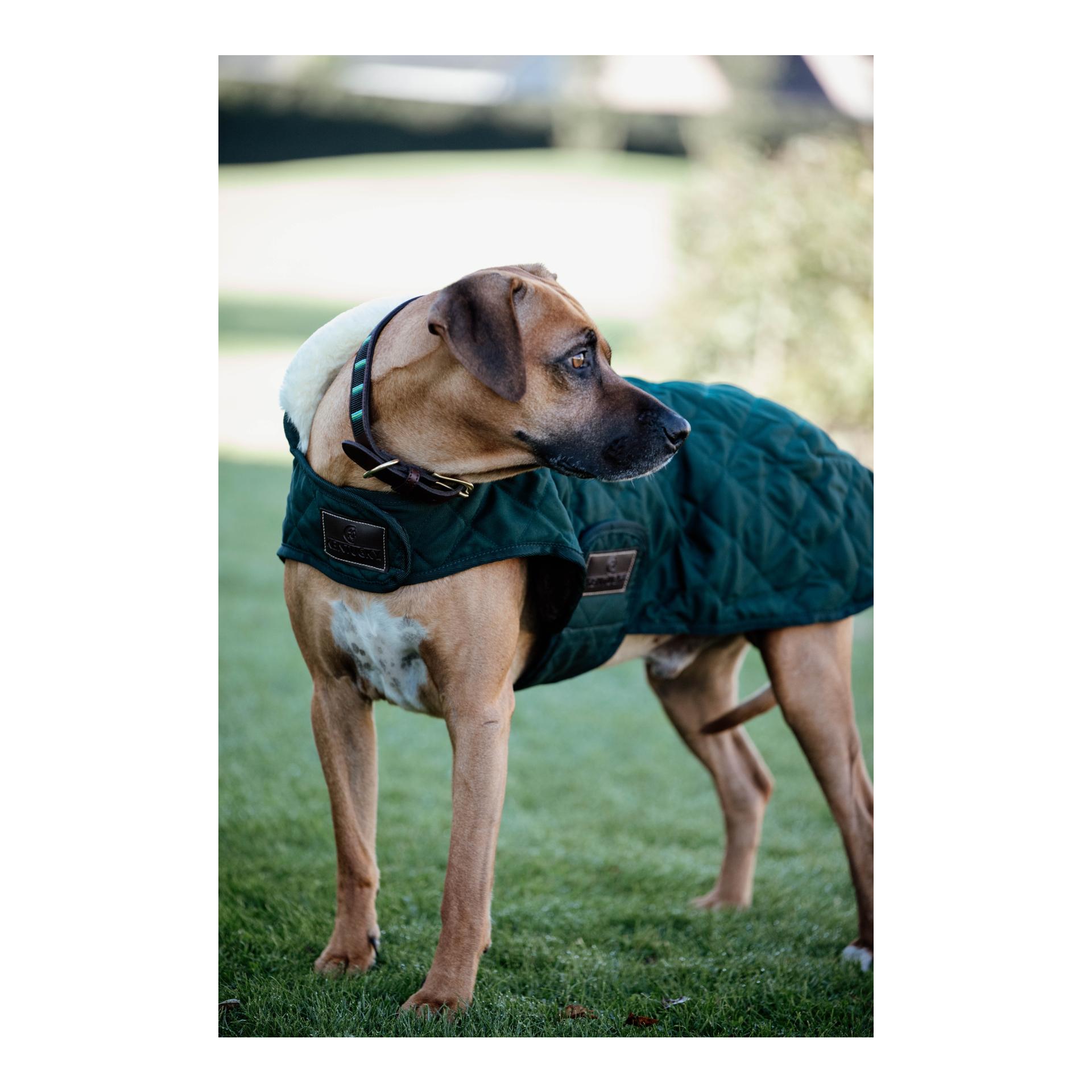 Hundemantel Original - dark green Hundemantel Original - dark green