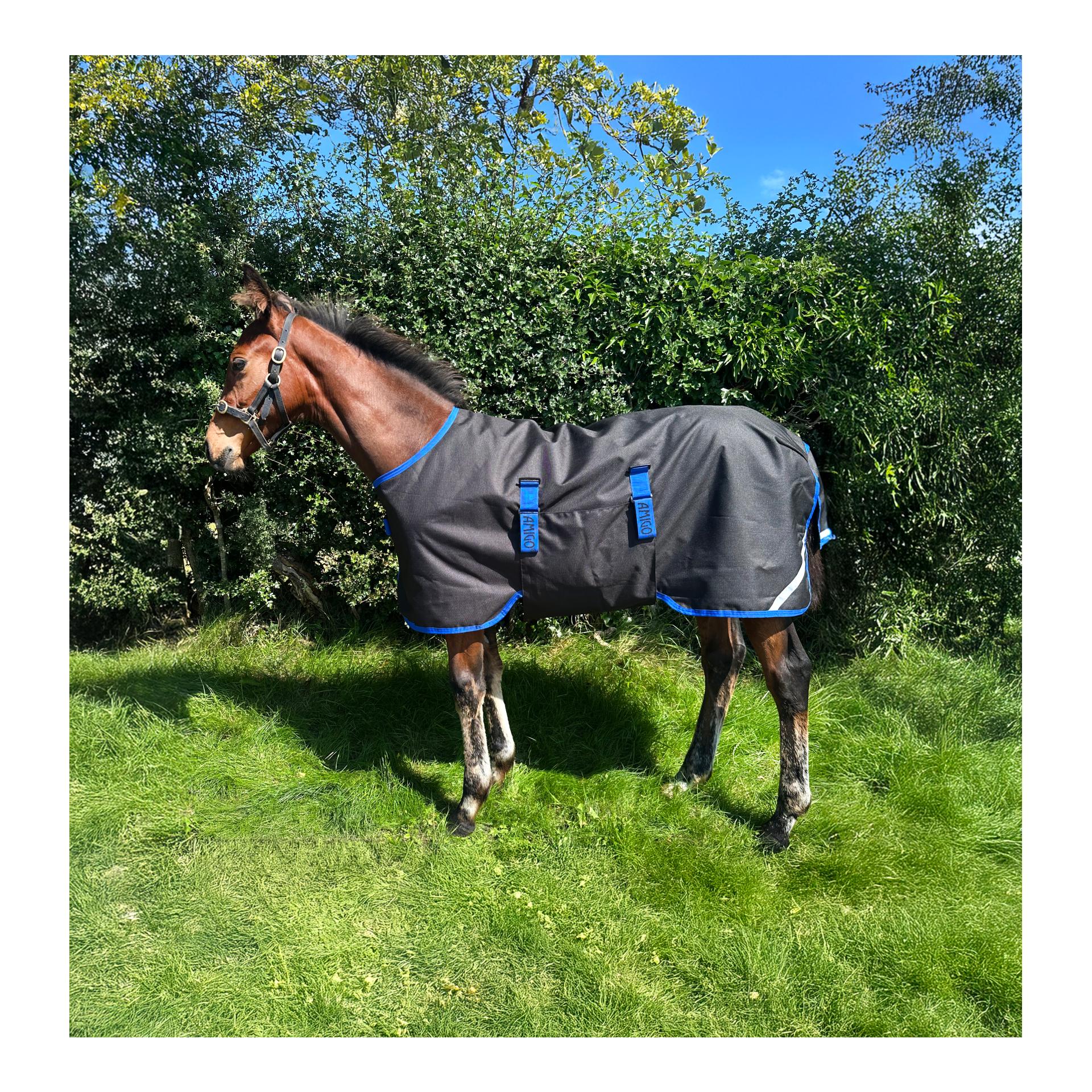 Fohlendecke Amigo Ripstop 900D 50g