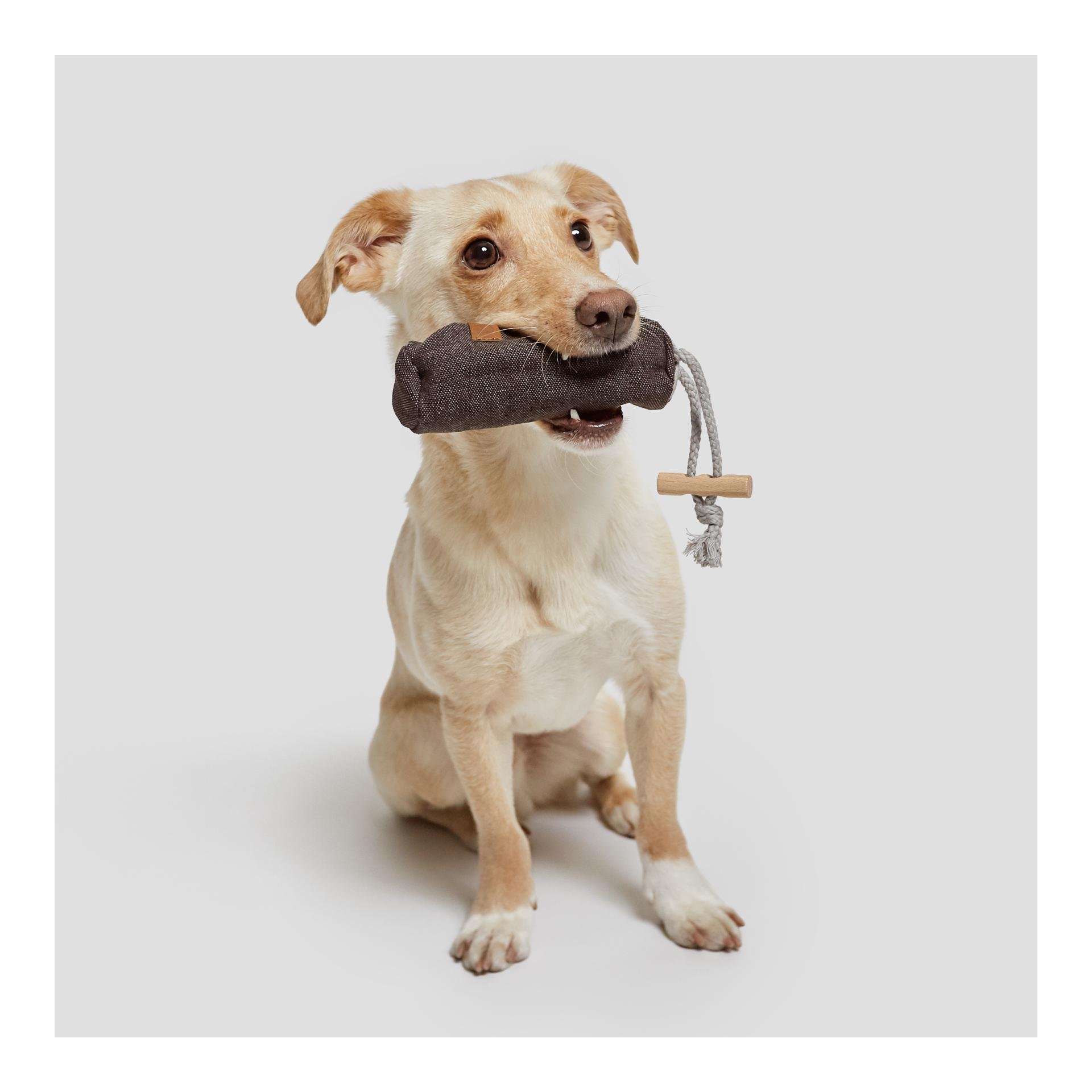 Futter Dummy - Heather Brown Futter Dummy - Heather Brown