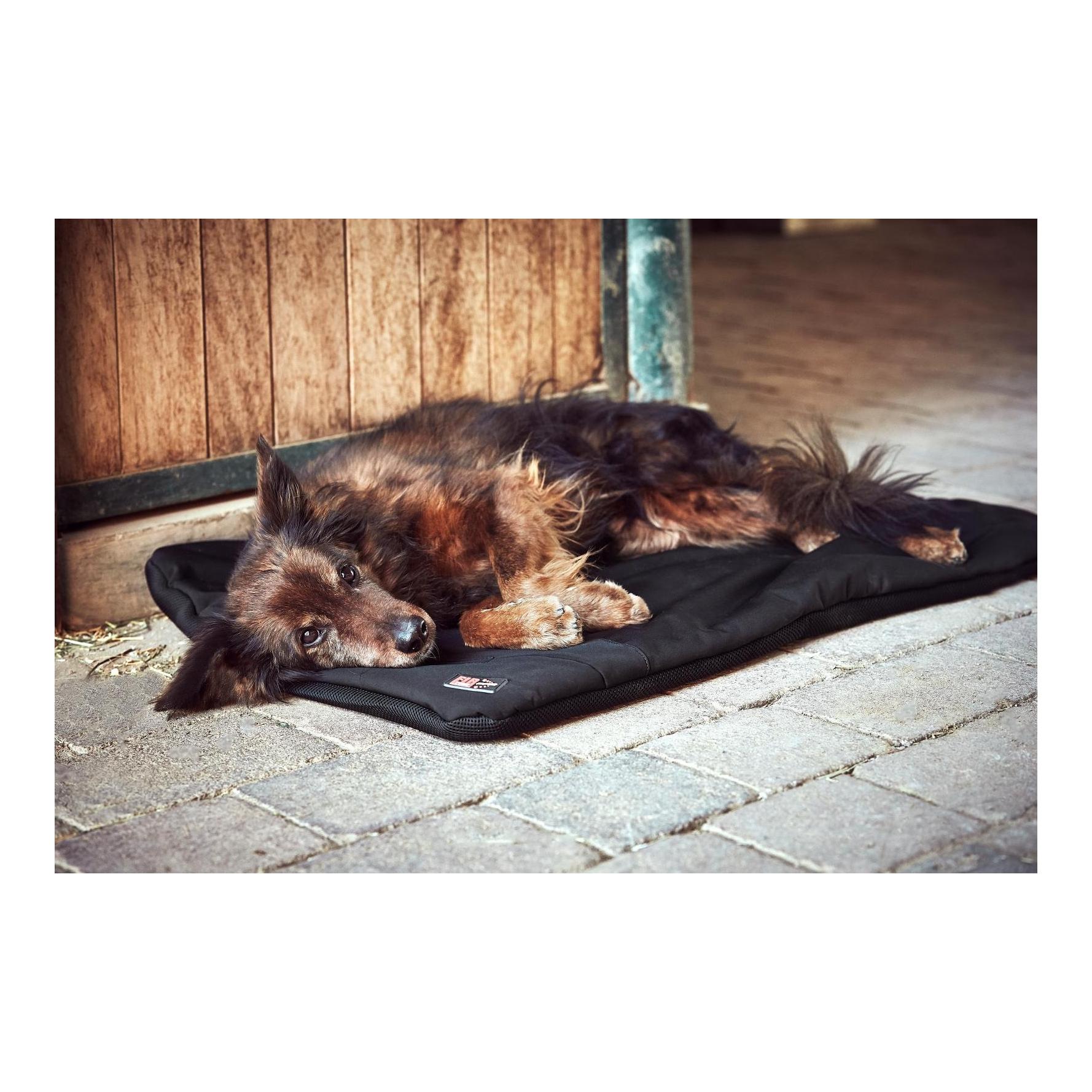 Catago Hundekissen beheizt FIR-Tech Pro