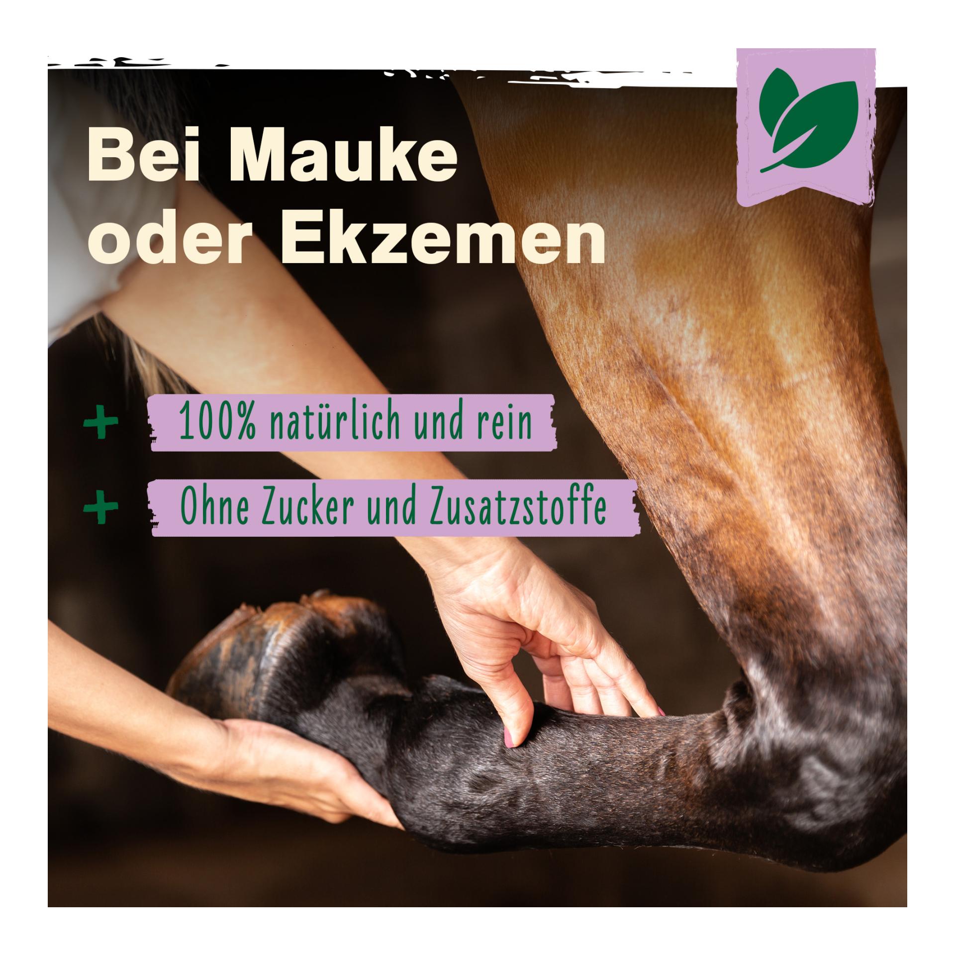 IdaPlus Biotin + Zink für Pferde - hochdosiert - verbessert Hufqualität & Hufwachstum 