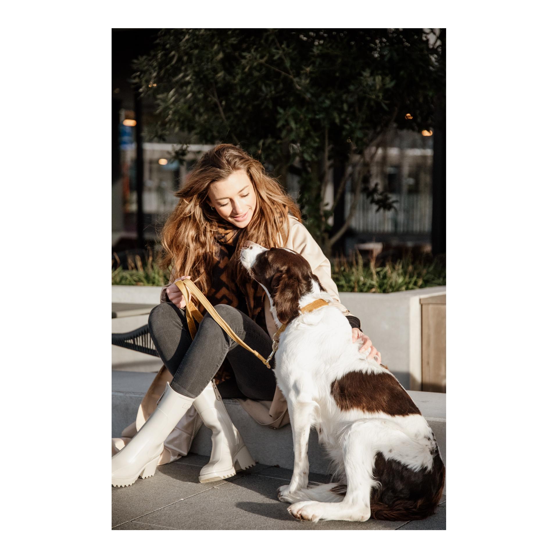 Hundehalsband Velvet - mustard Hundehalsband Velvet - mustard