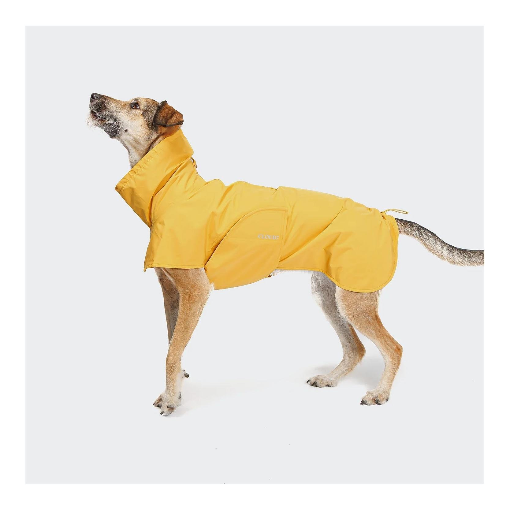 Imperméable pour chiens Helgoland 