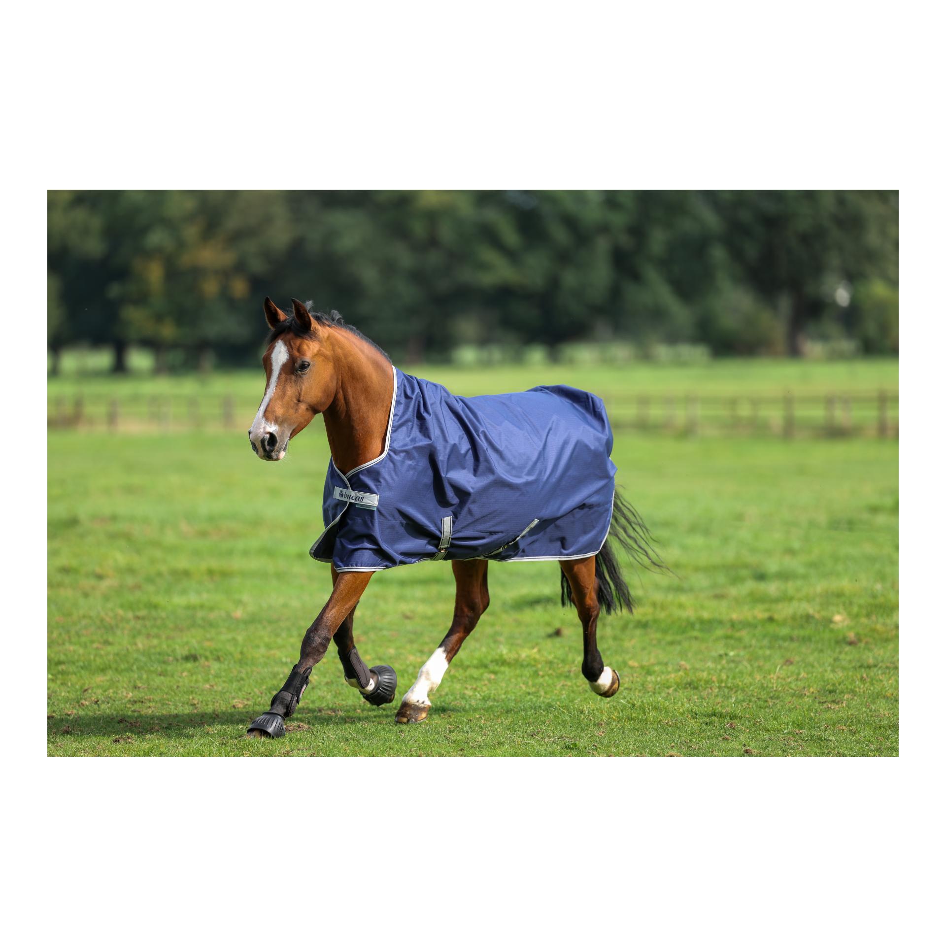Bucas Couverture d'extérieur Freedom Turnout High Neck 150g - navy/silver