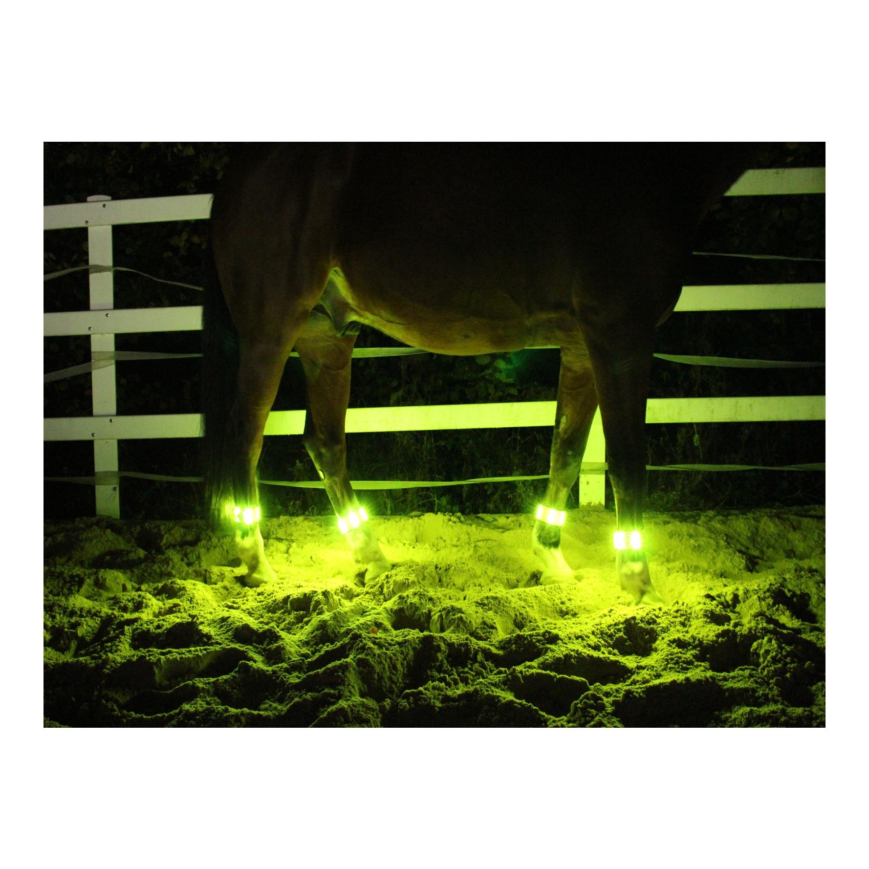 Animal Light LED Leuchtgamaschen Threeple 4er-Set - gelb