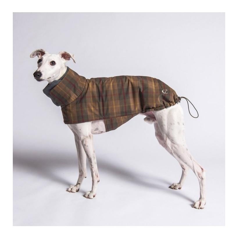 Hundemantel Brooklyn Regulär - waxed tartan