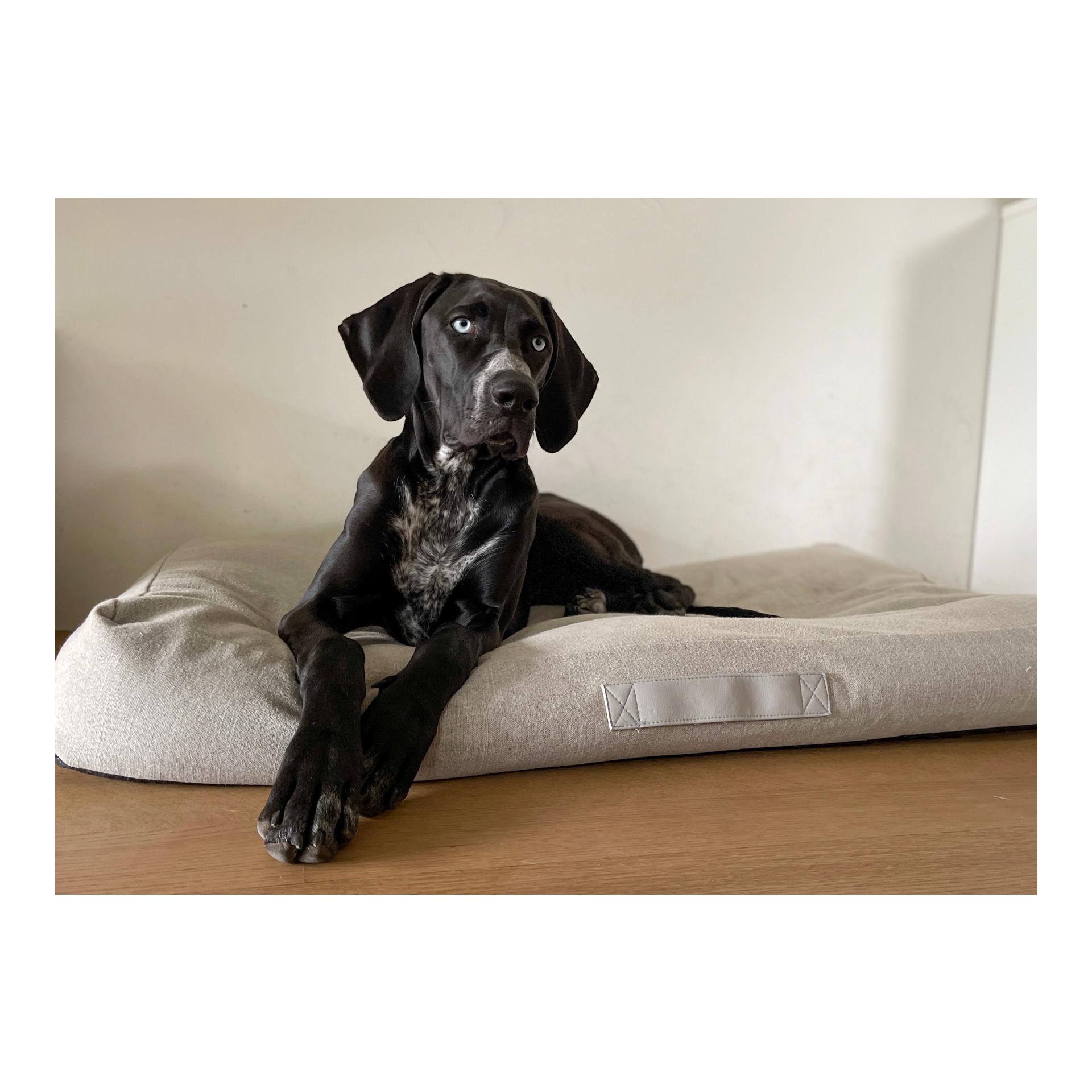 Hundekissen Sydney - steel Hundekissen Sydney - steel