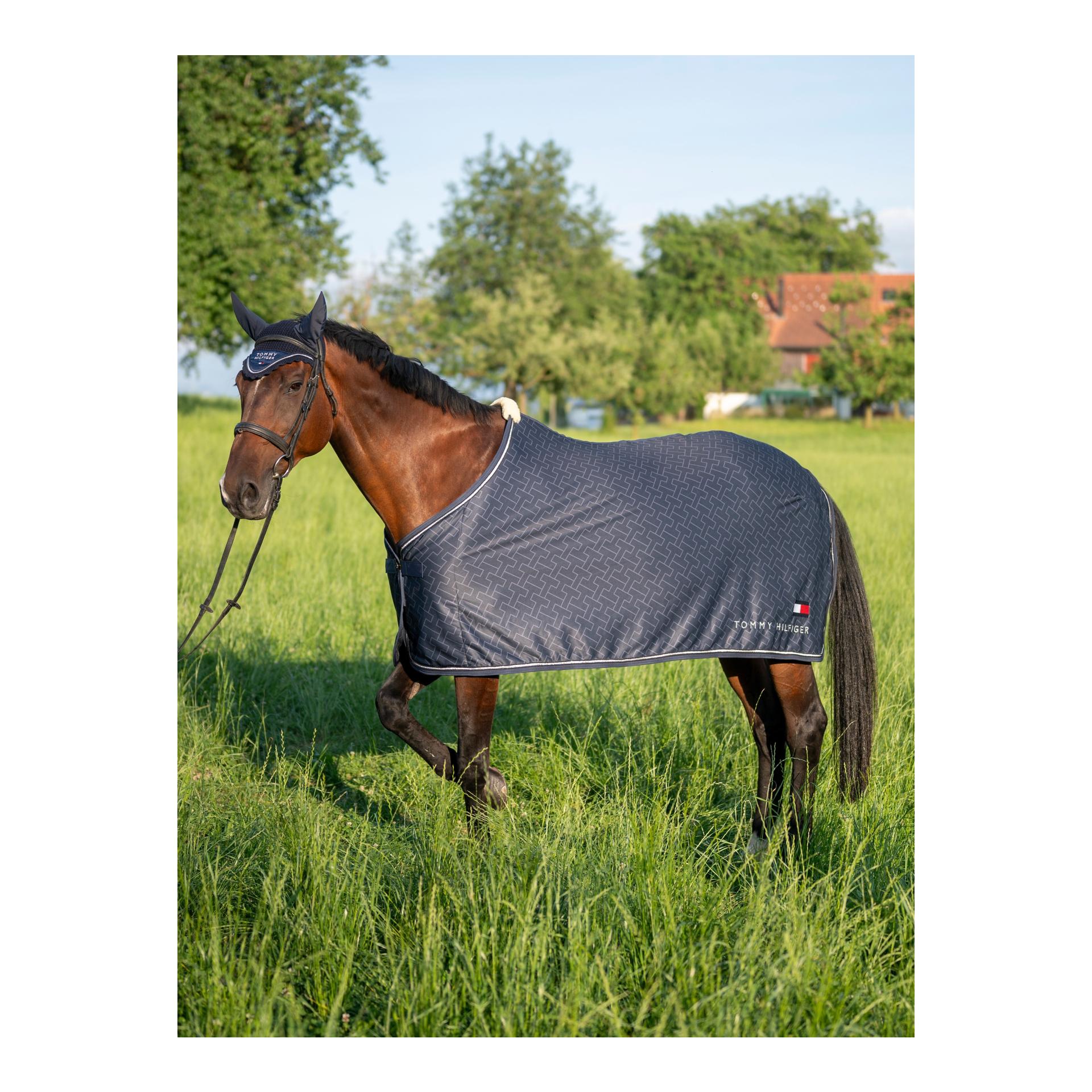 Abschwitzdecke Windsor Abschwitzdecke Windsor