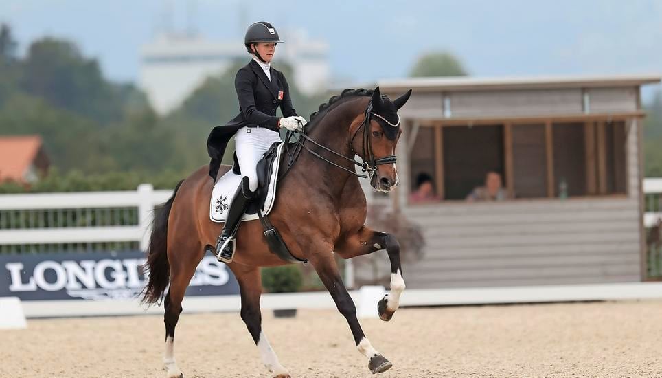reiten reiten