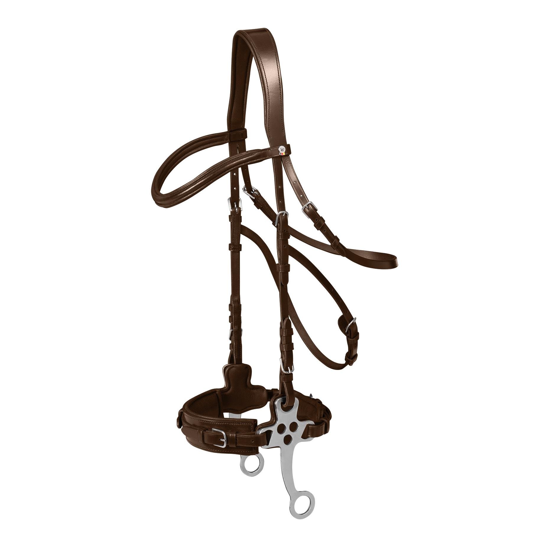 Hackamore Trensenzaum Hackamore Trensenzaum