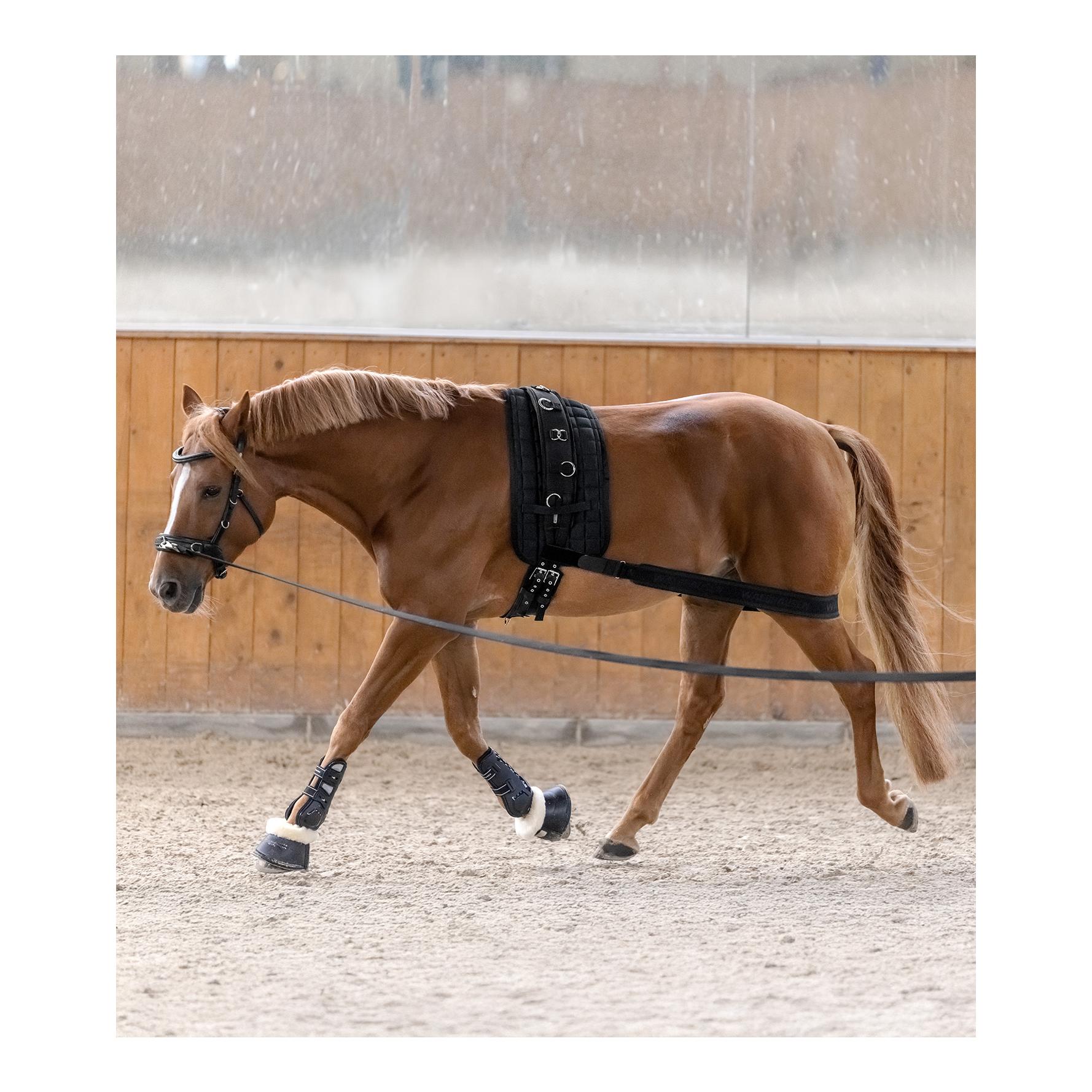 Körperbandage - Aktivierung der Hinterhand