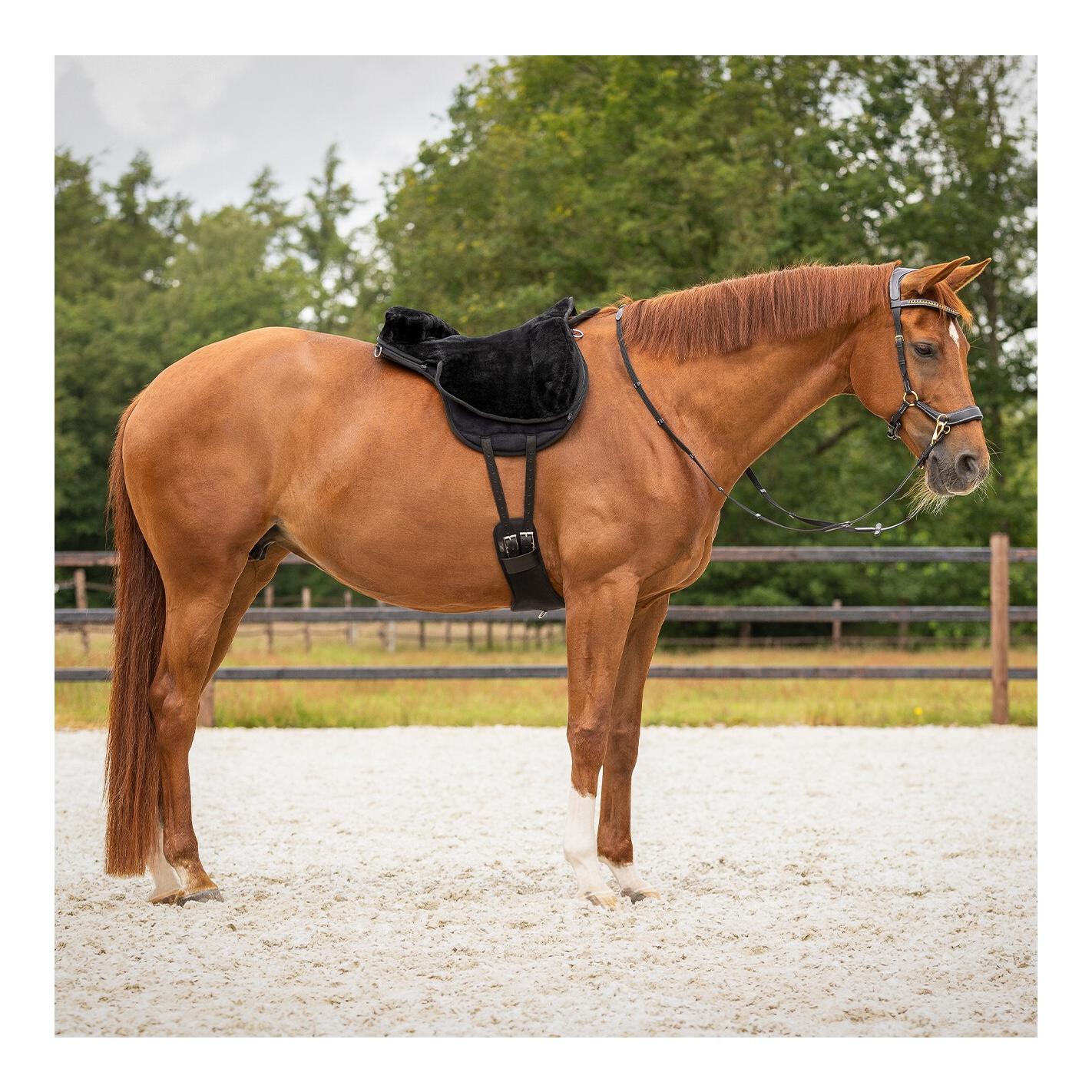 QHP Bareback Pad Super Soft - Reitpad mit Kunstfell & Anti-Rutsch