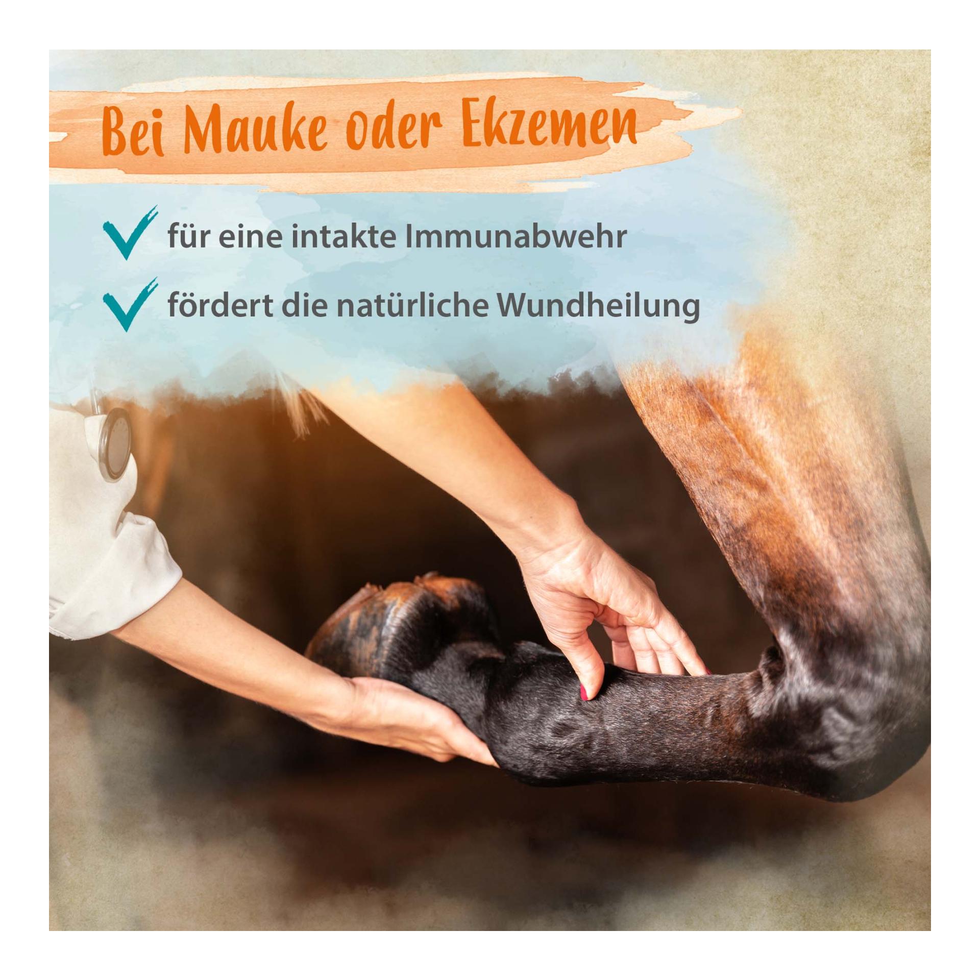 Biotin + Zink für Pferde - hochdosiert - verbessert Hufqualität & Hufwachstum Biotin + Zink für Pferde - hochdosiert - verbessert Hufqualität & Hufwachstum