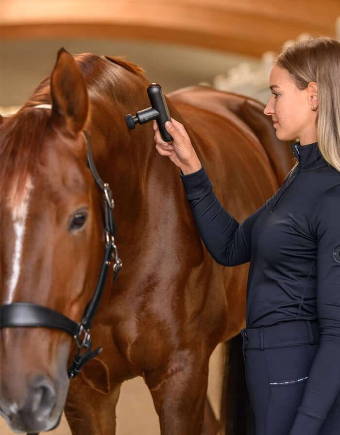 reitsport-wohlbefinden