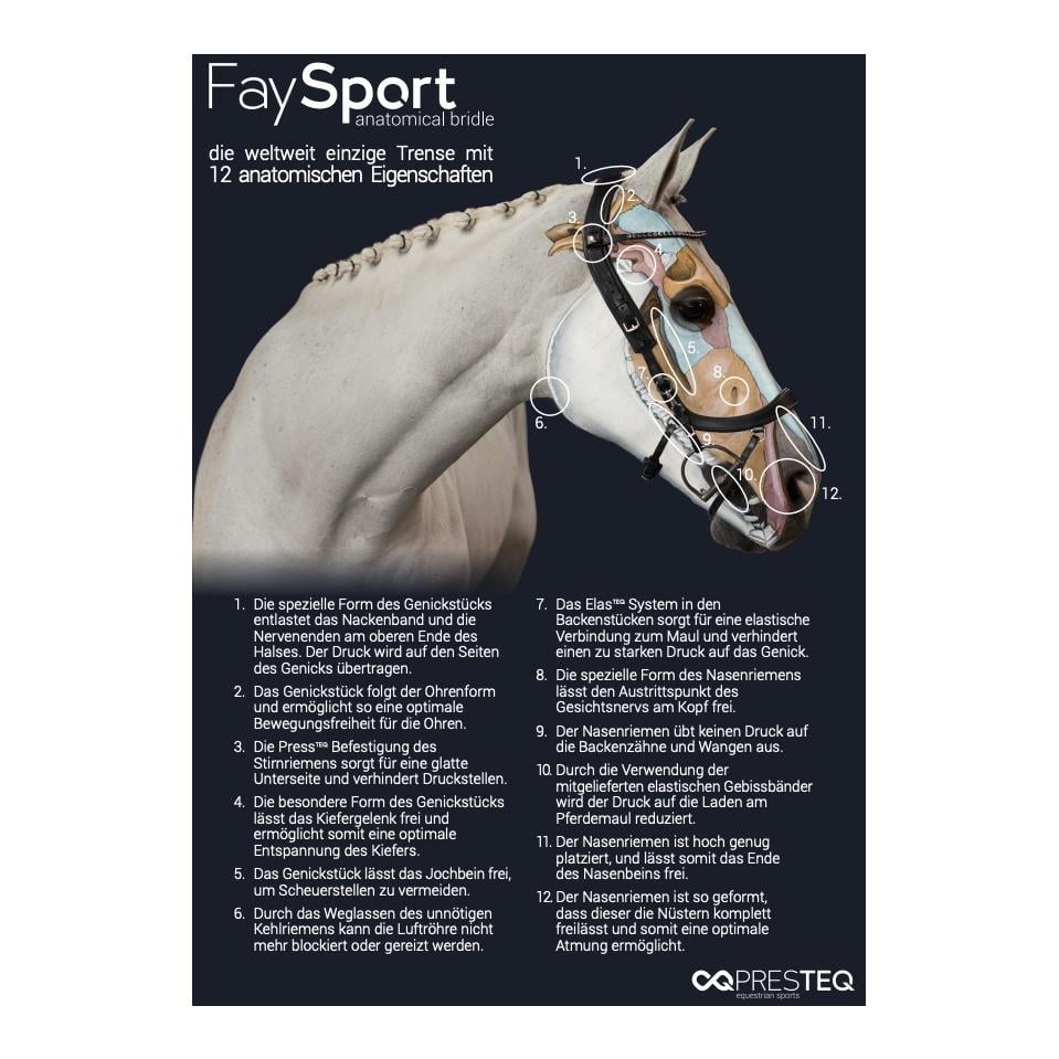 PresTeq Bride FaySport – noir