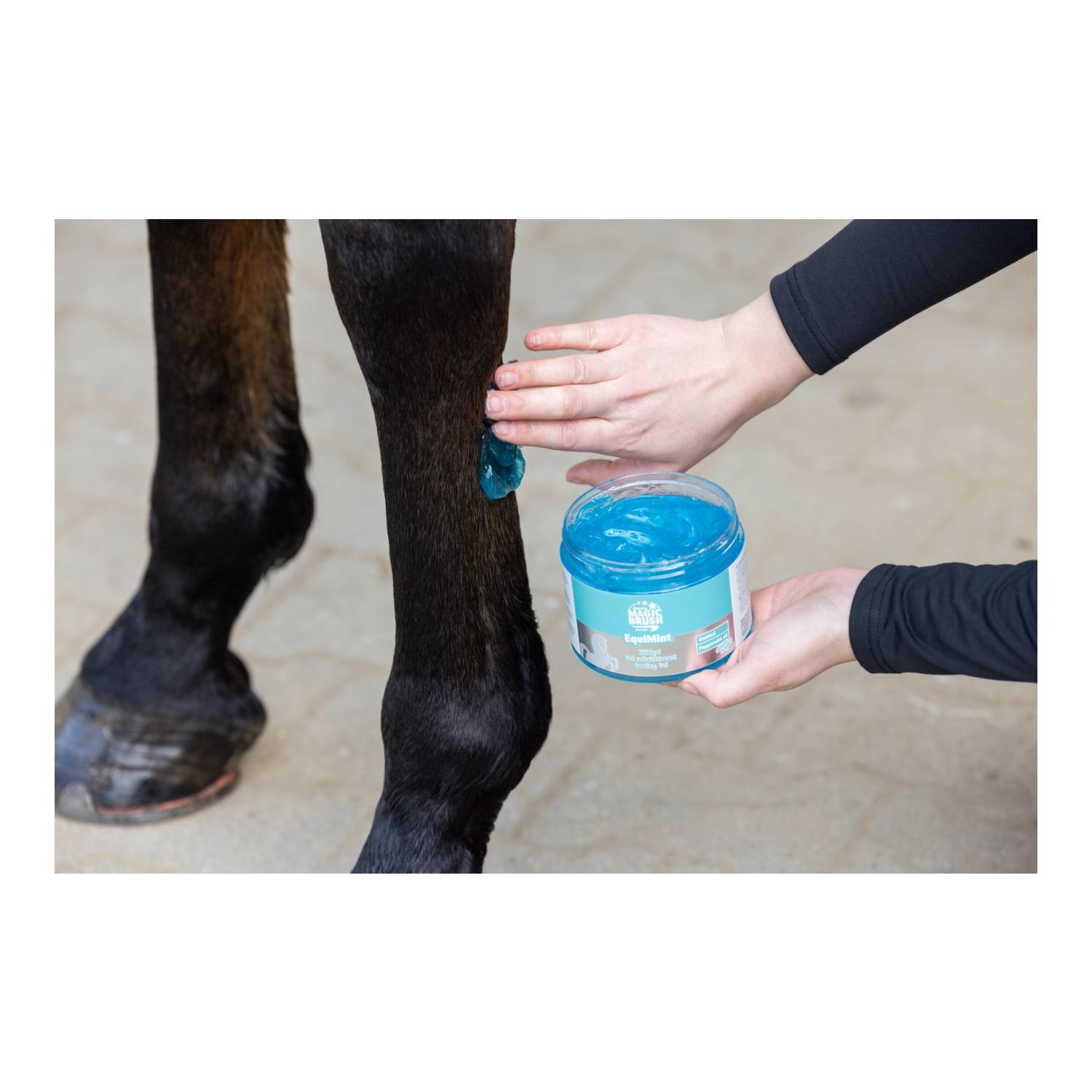 MagicBrush MagicBrush Kühlgel EquiMint