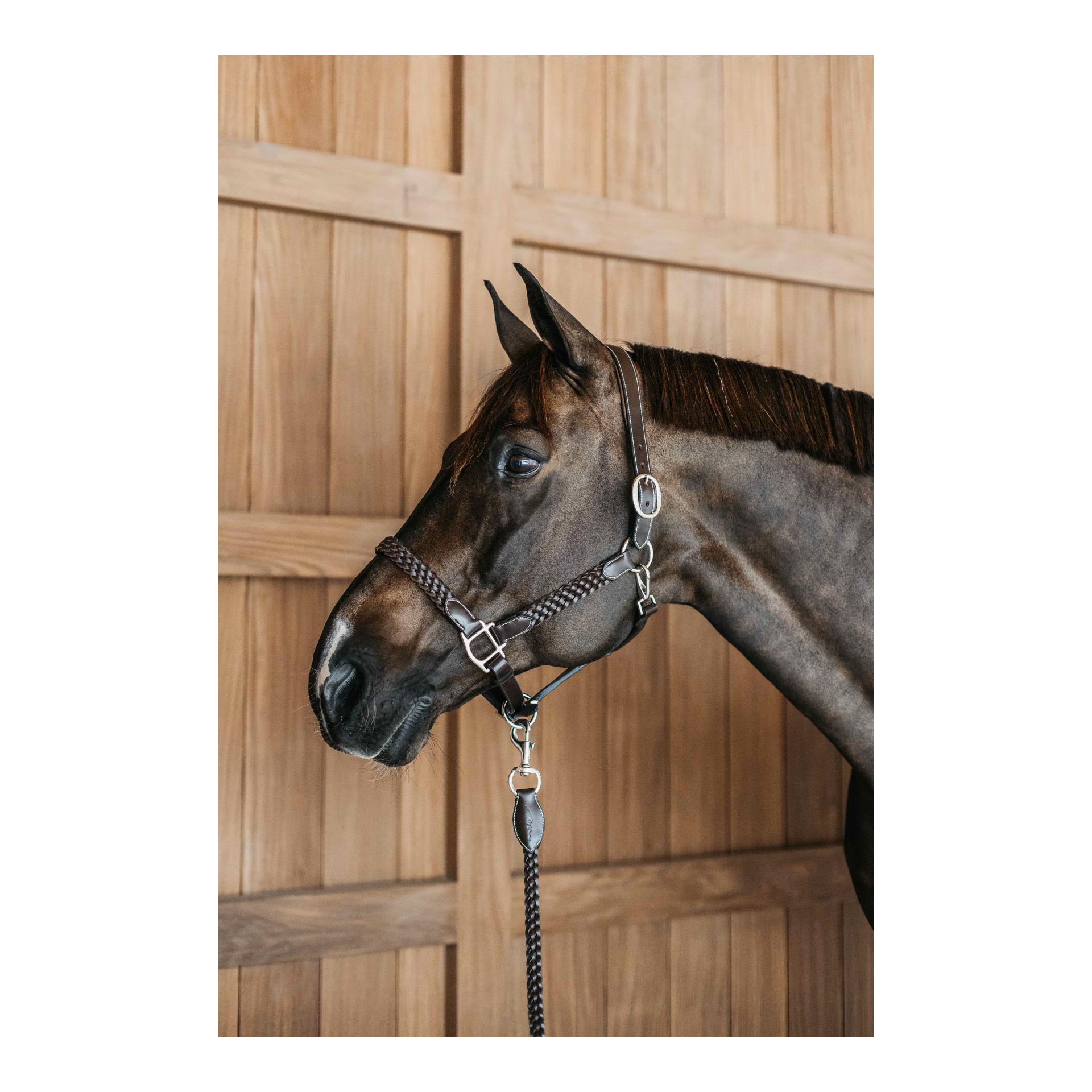 Halfter Plaited Halfter Plaited