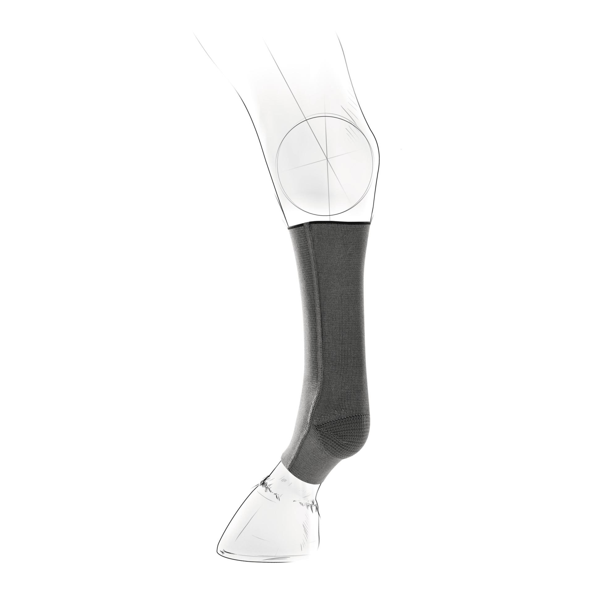 EquiCrown Kompressionsbandage fit - vorne, Silver antibakteriell