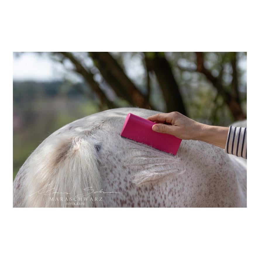 Fellschön Fellwechselhelfer