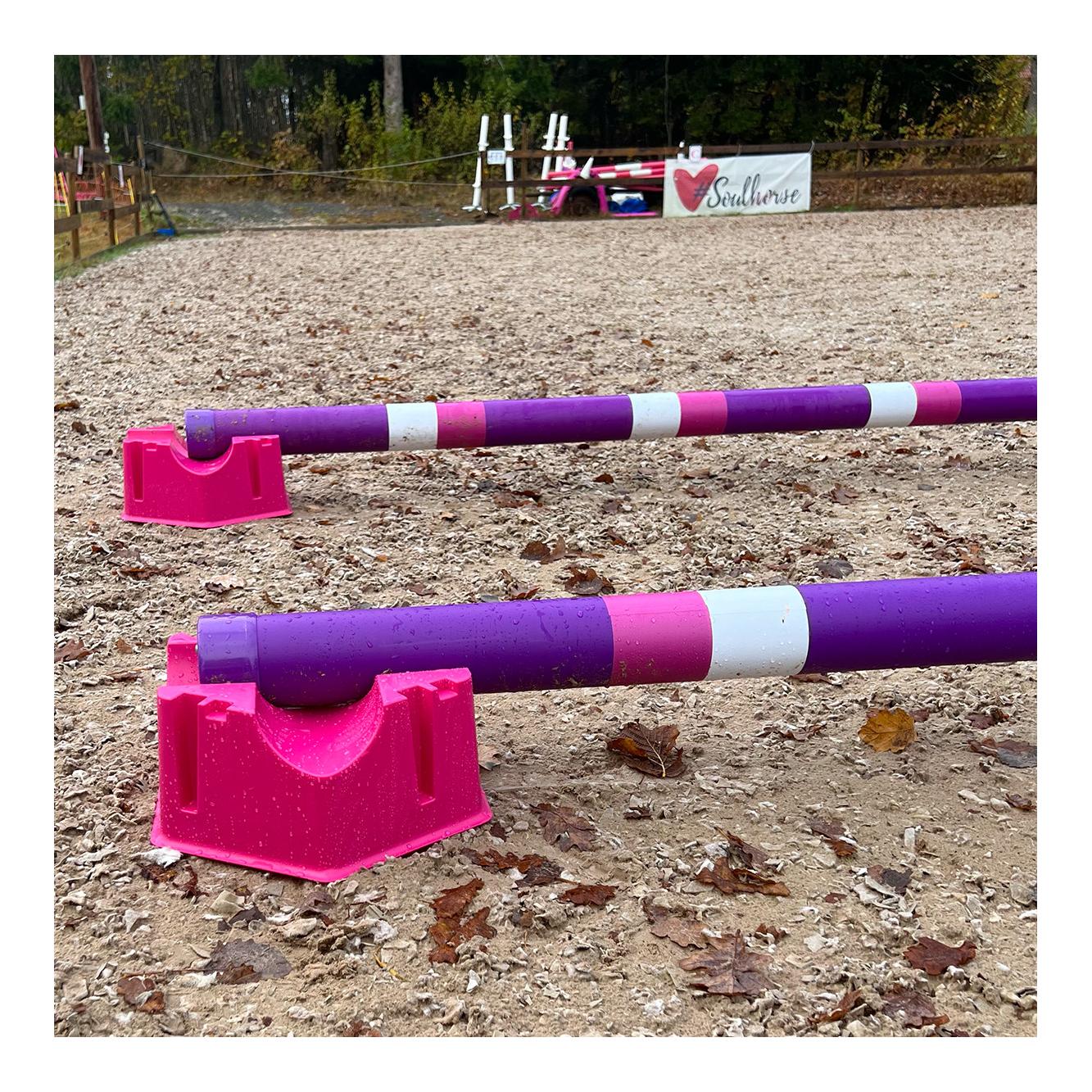 Soulhorse Ponylettis Stangenblock - pink
