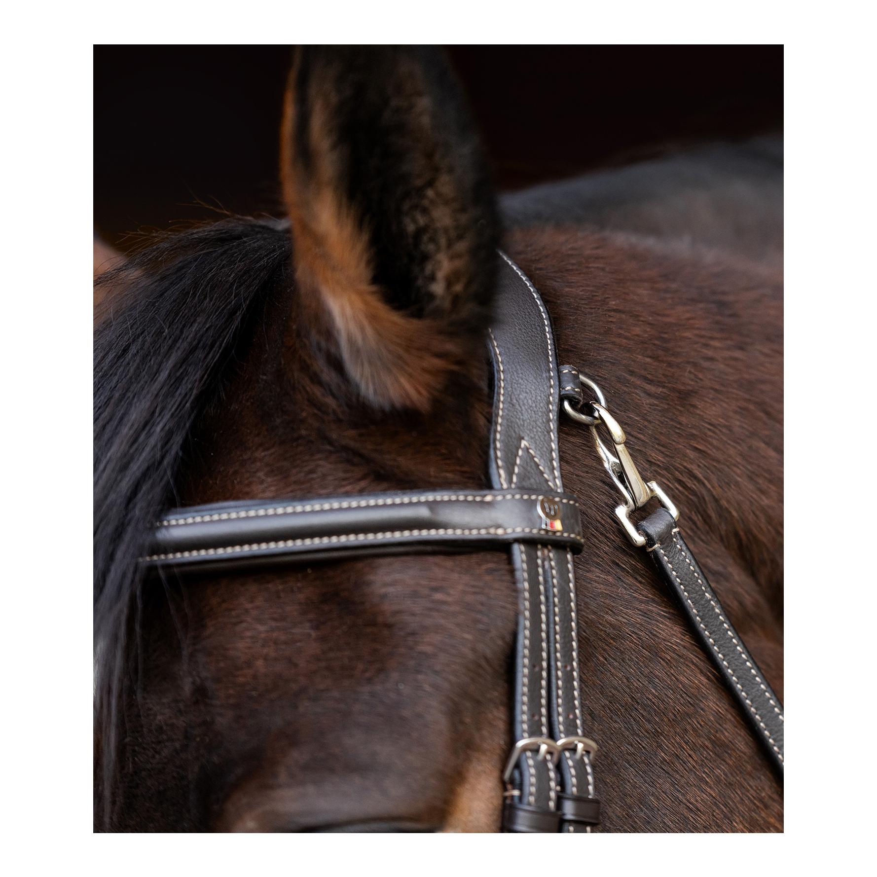 X-Line Waldhausen X-Line Bridon Work