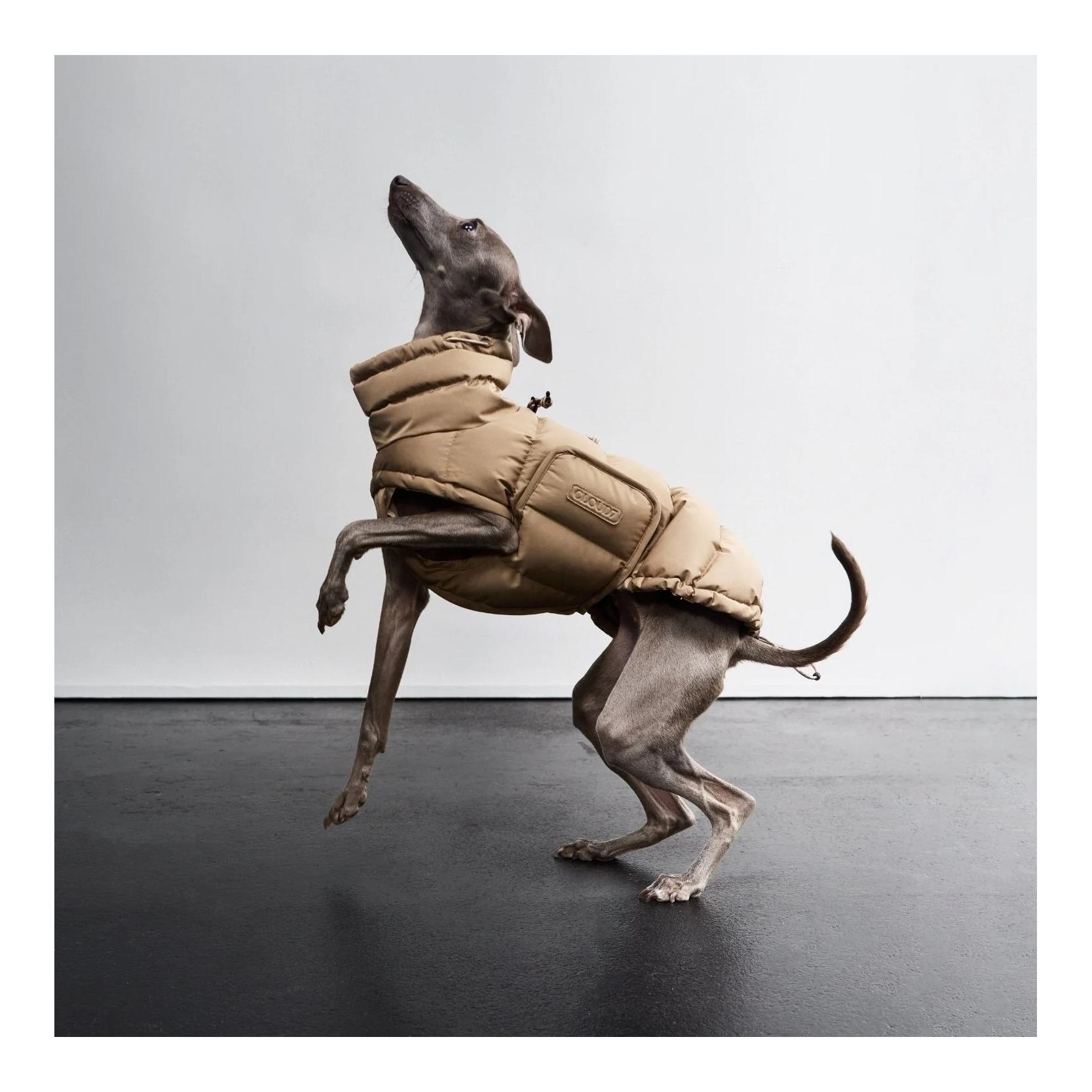 Winter Hundemantel Alaska Regular