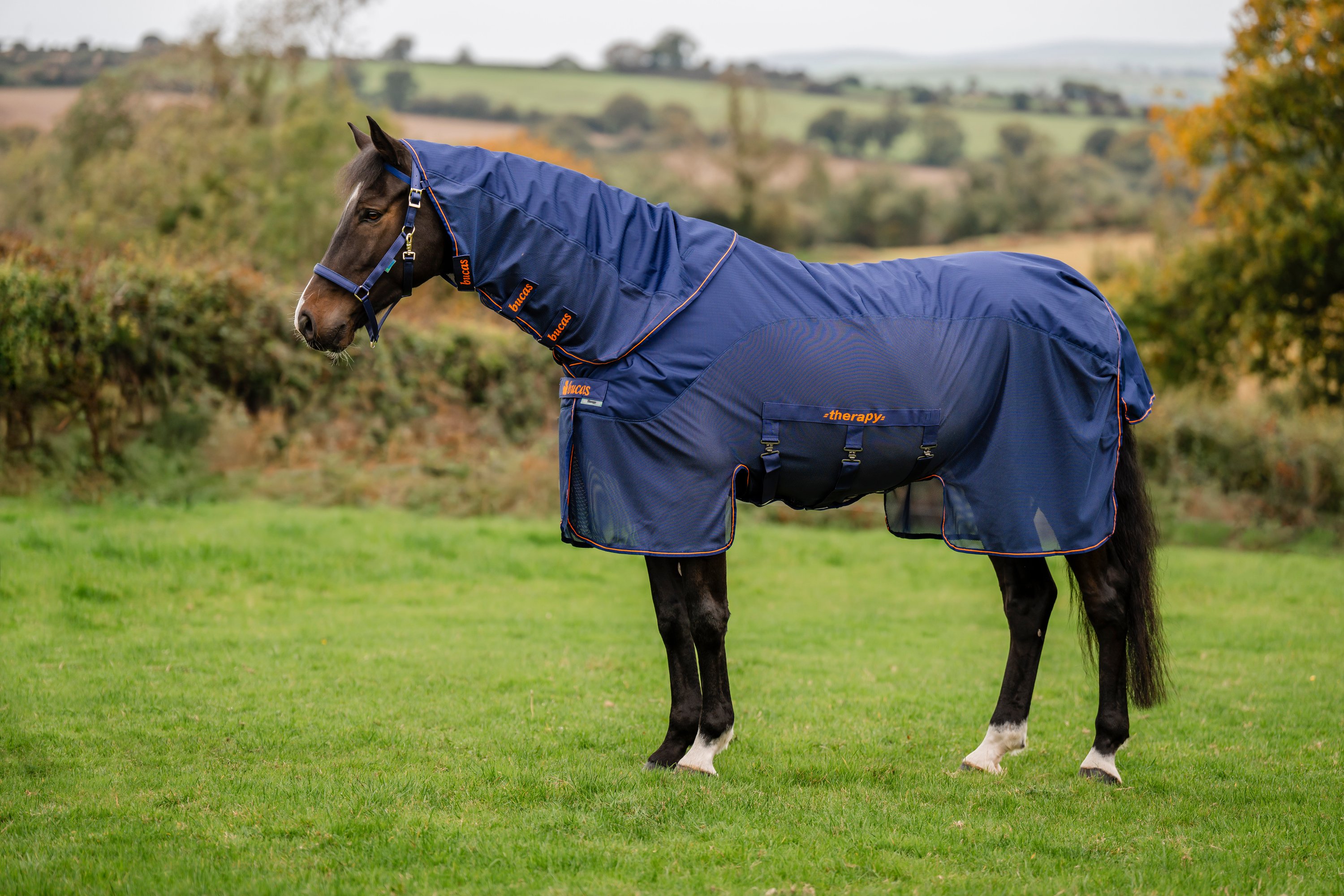 Therapy X-Range rain + Neck