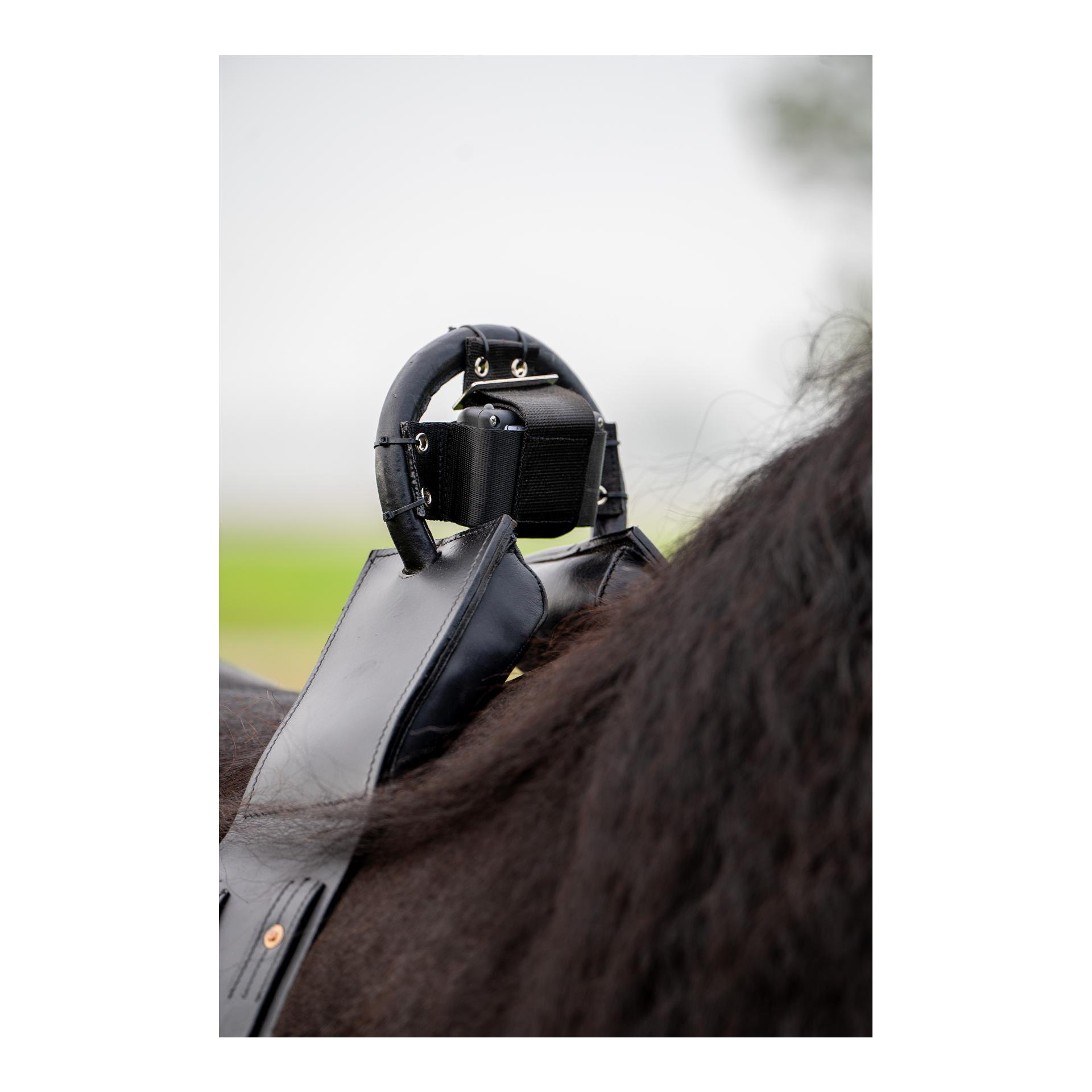 Birth Alarm Birth Alarm Premium