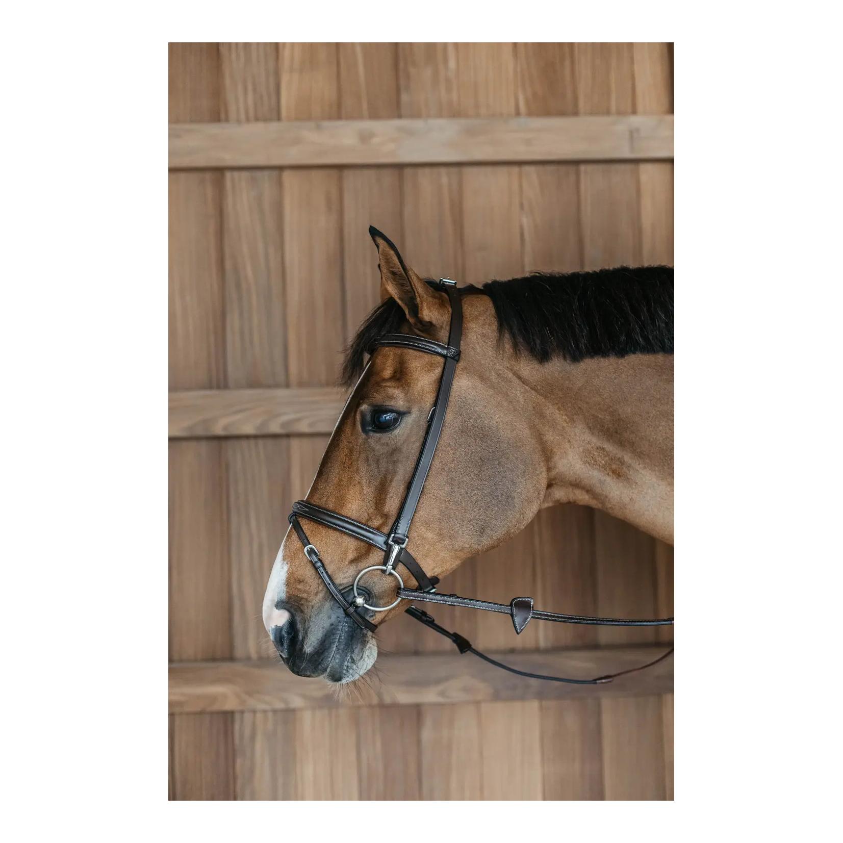 Trainingszaum Working by Dy'on Trainingszaum Working by Dy'on