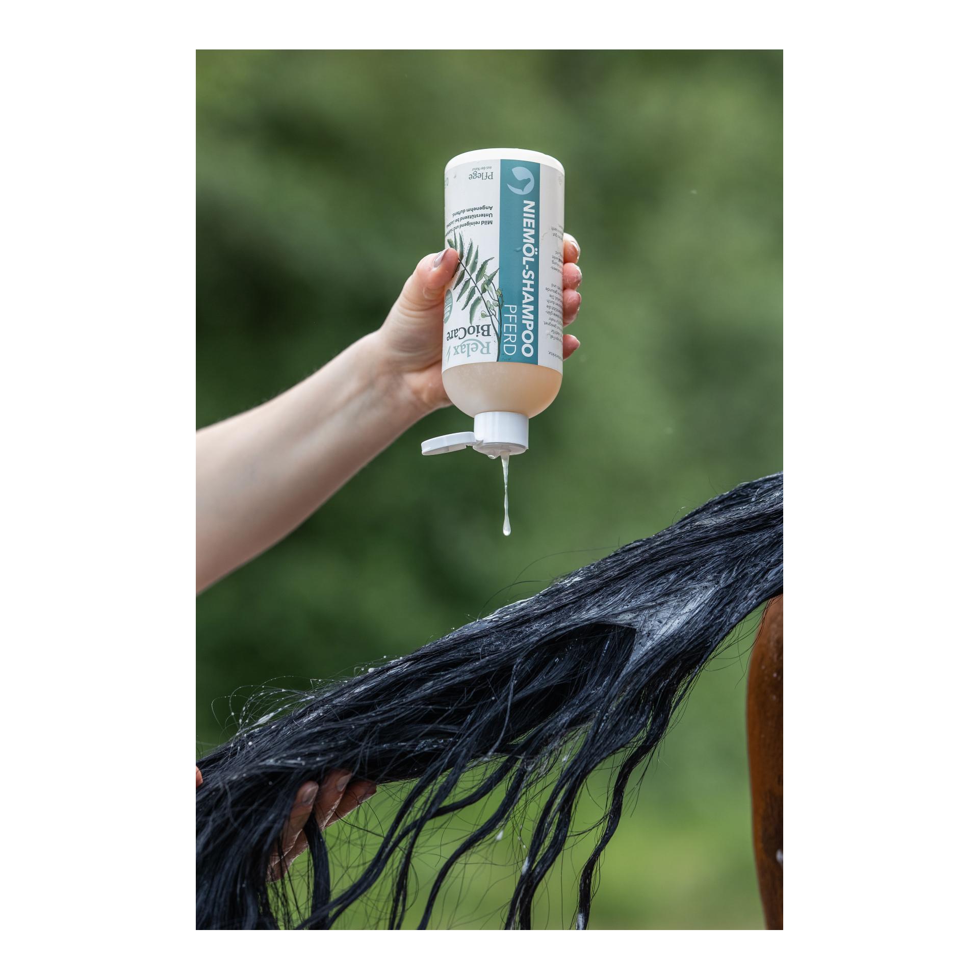 Shampooing cheval à l'huile de margousier