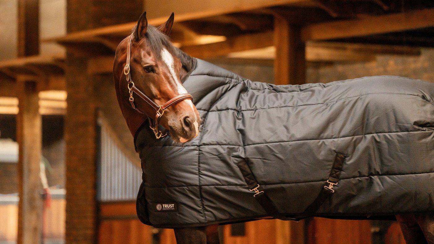 Stalldecke Tetris 200g