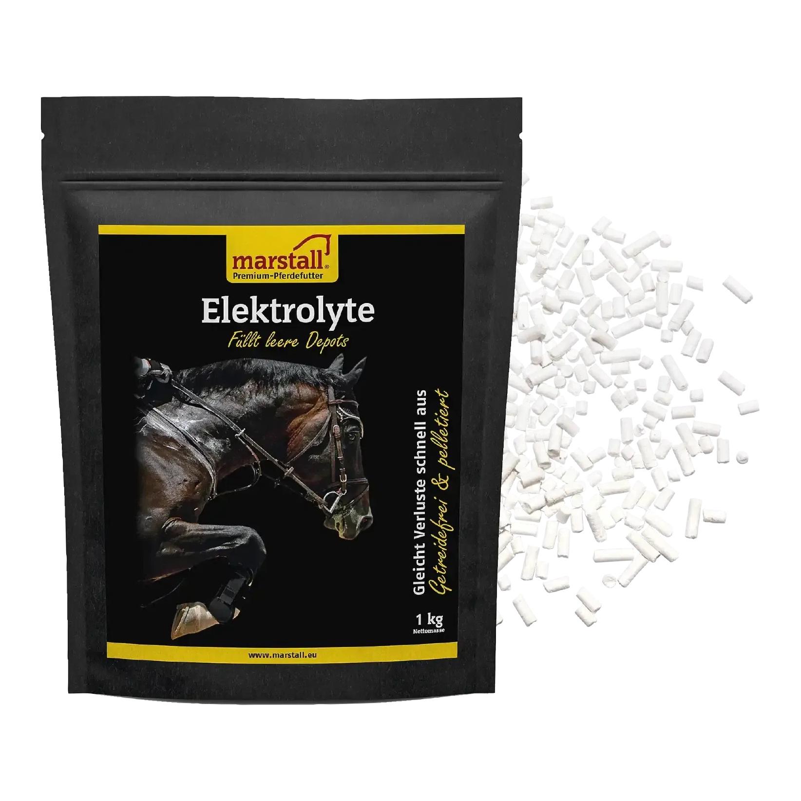 Electrolyte, pelletiert