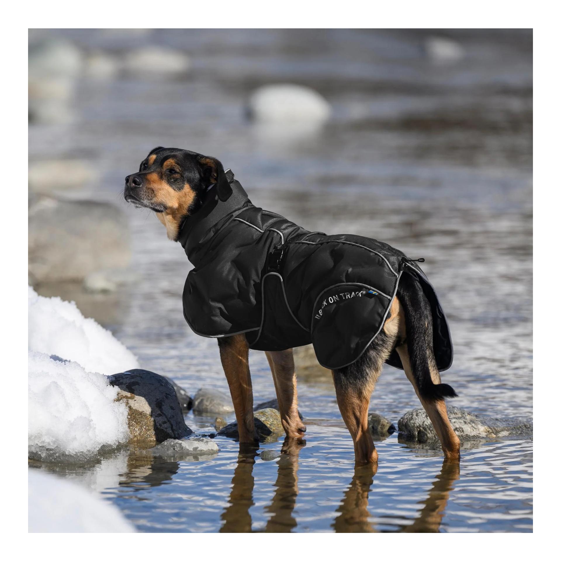 BAY manteau d'hiver pour chiens, 120 g, queue haute