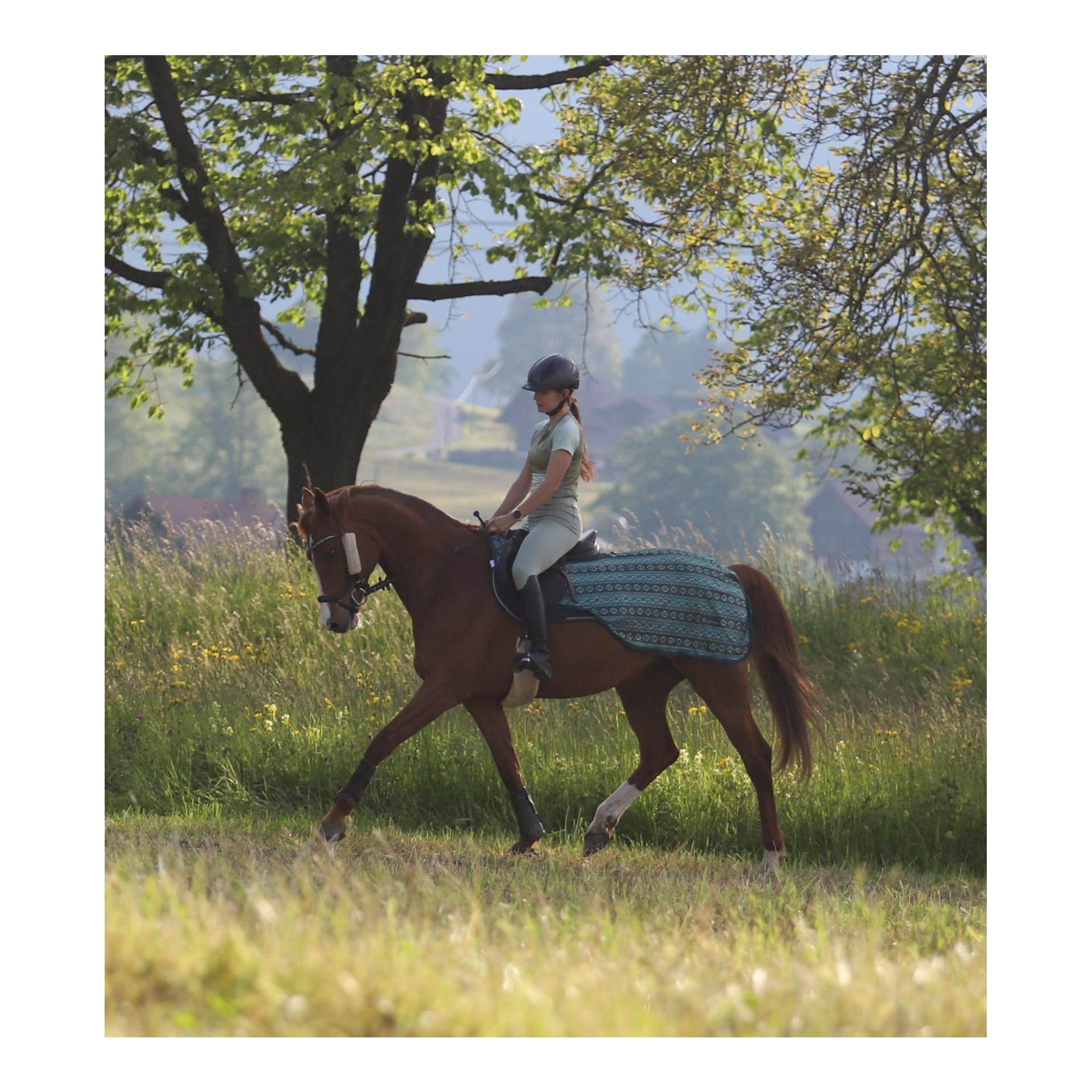 Reit-Fliegendecke Summer Stroll Reit-Fliegendecke Summer Stroll