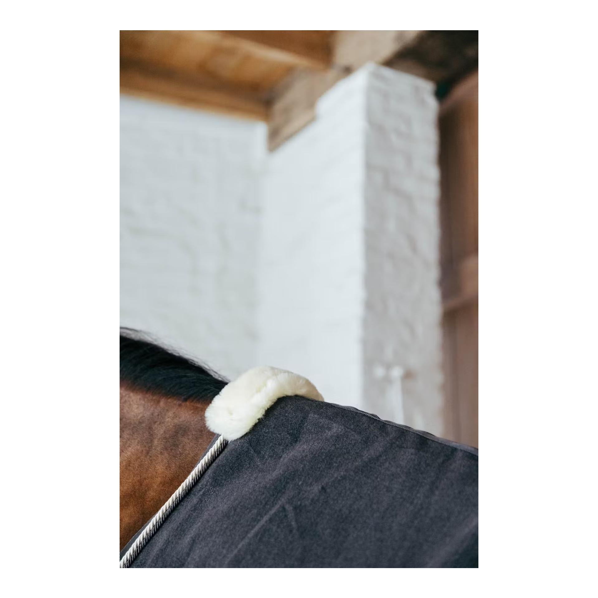 Abschwitzdecke vegan wool Abschwitzdecke vegan wool