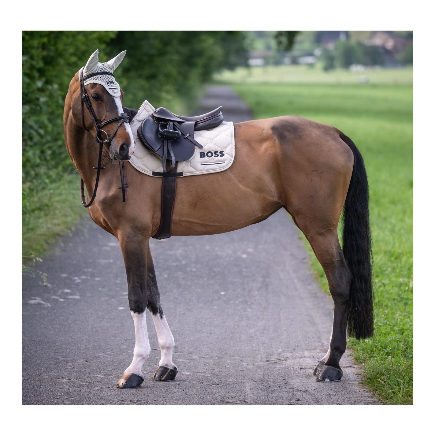 BOSS Equestrian Chabraque de saut Cheltenham Tape